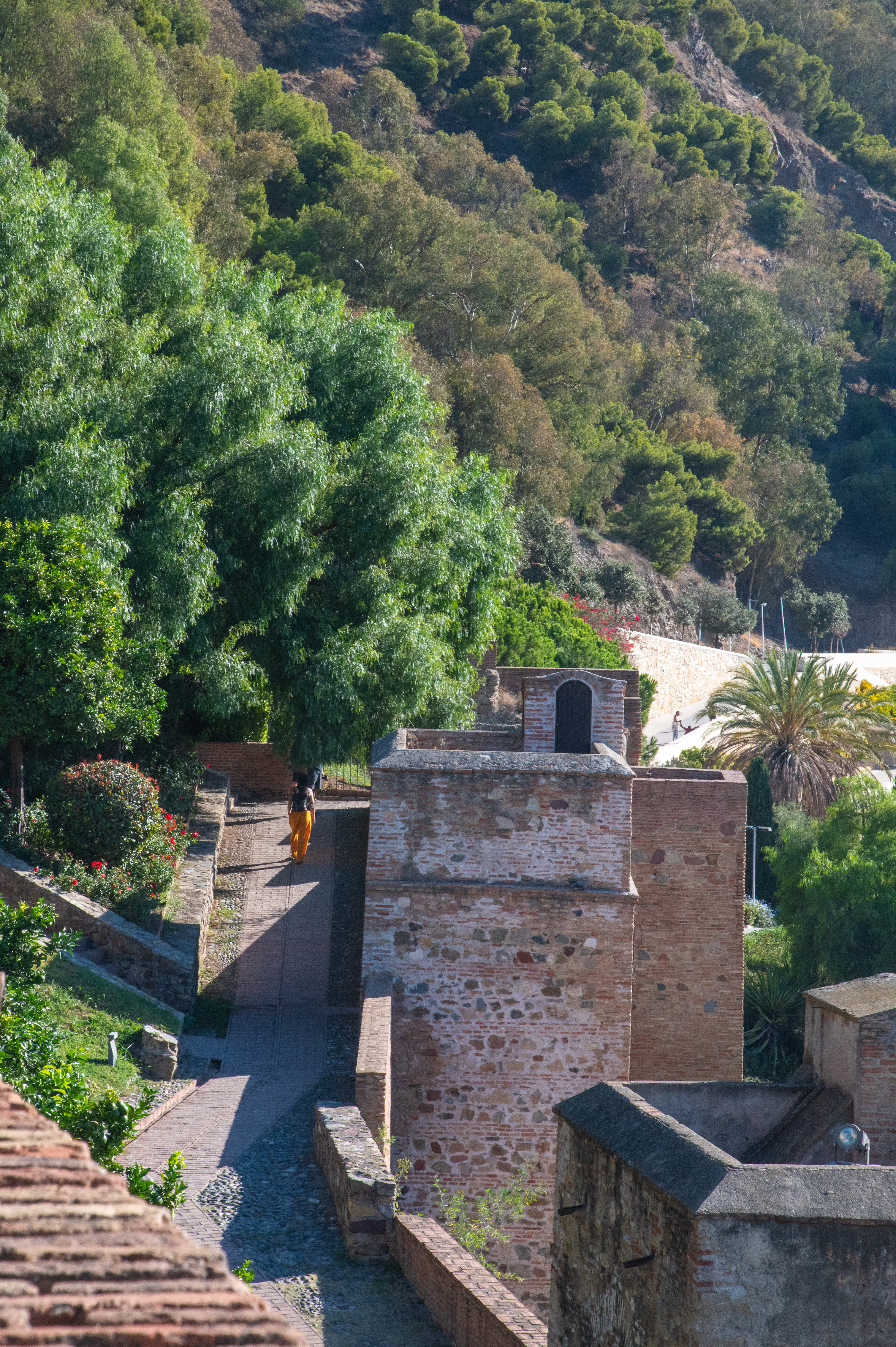 Alcazaba Walls