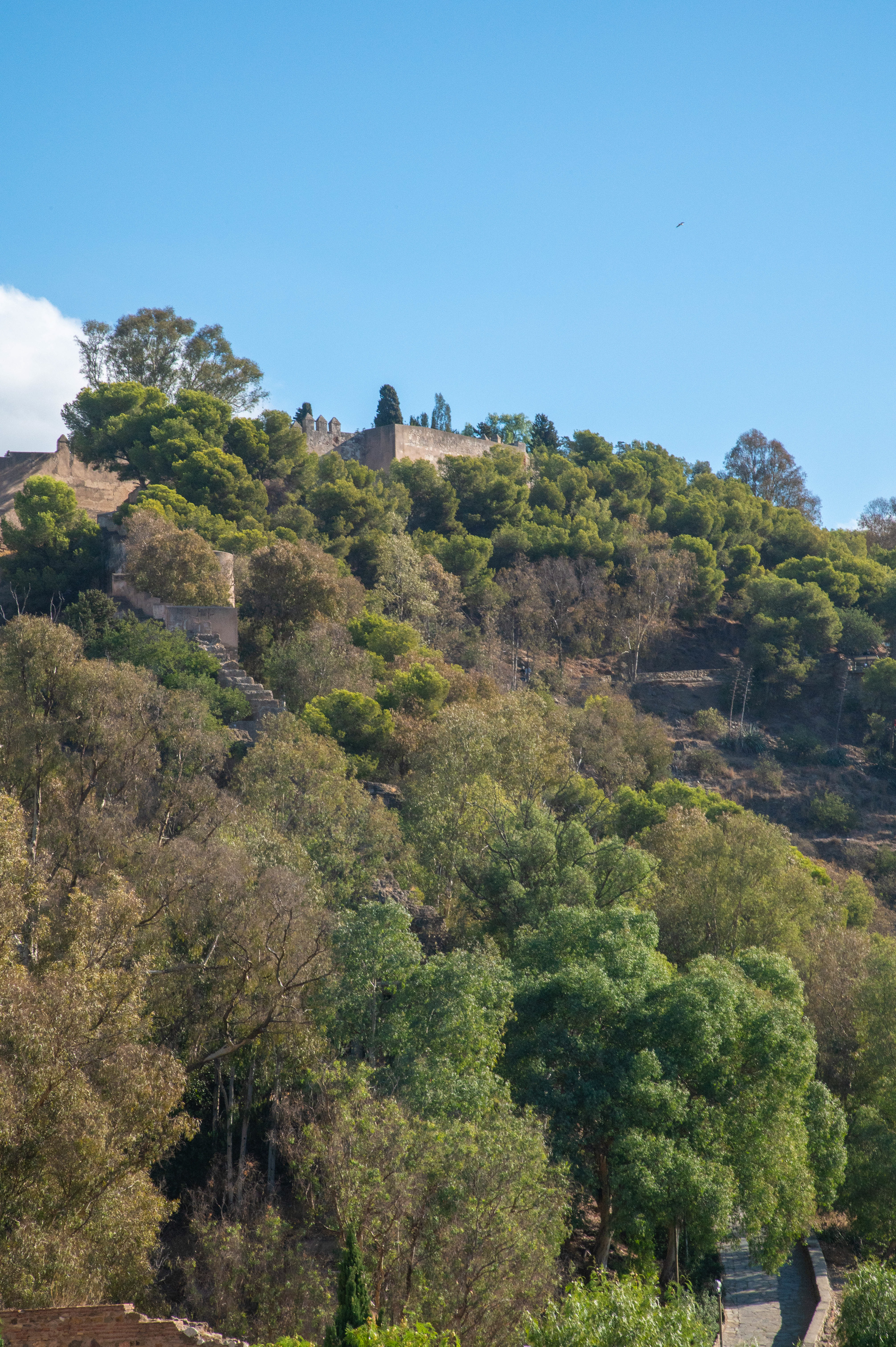 Castillo de Gibralfaro