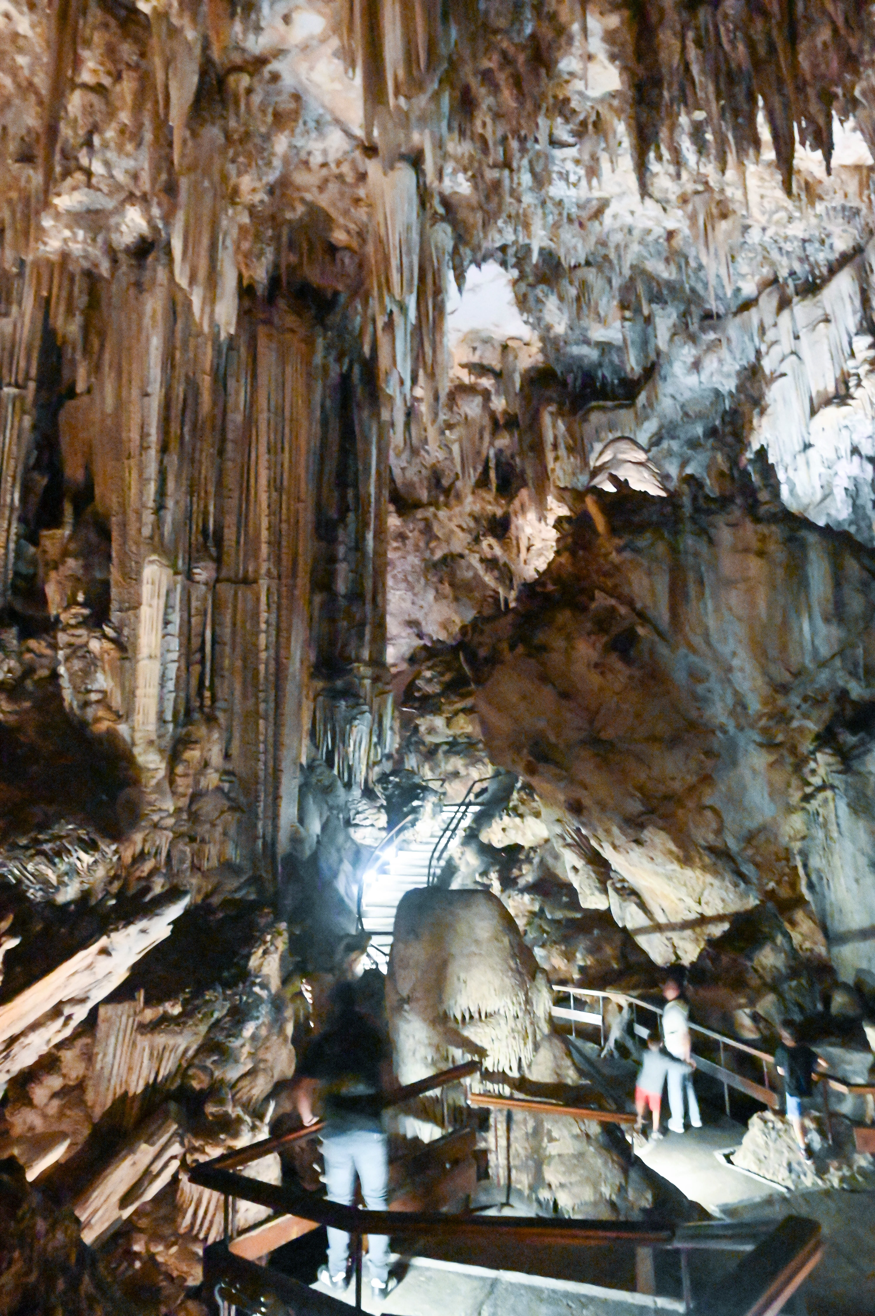 The Prehistoric Cathedral