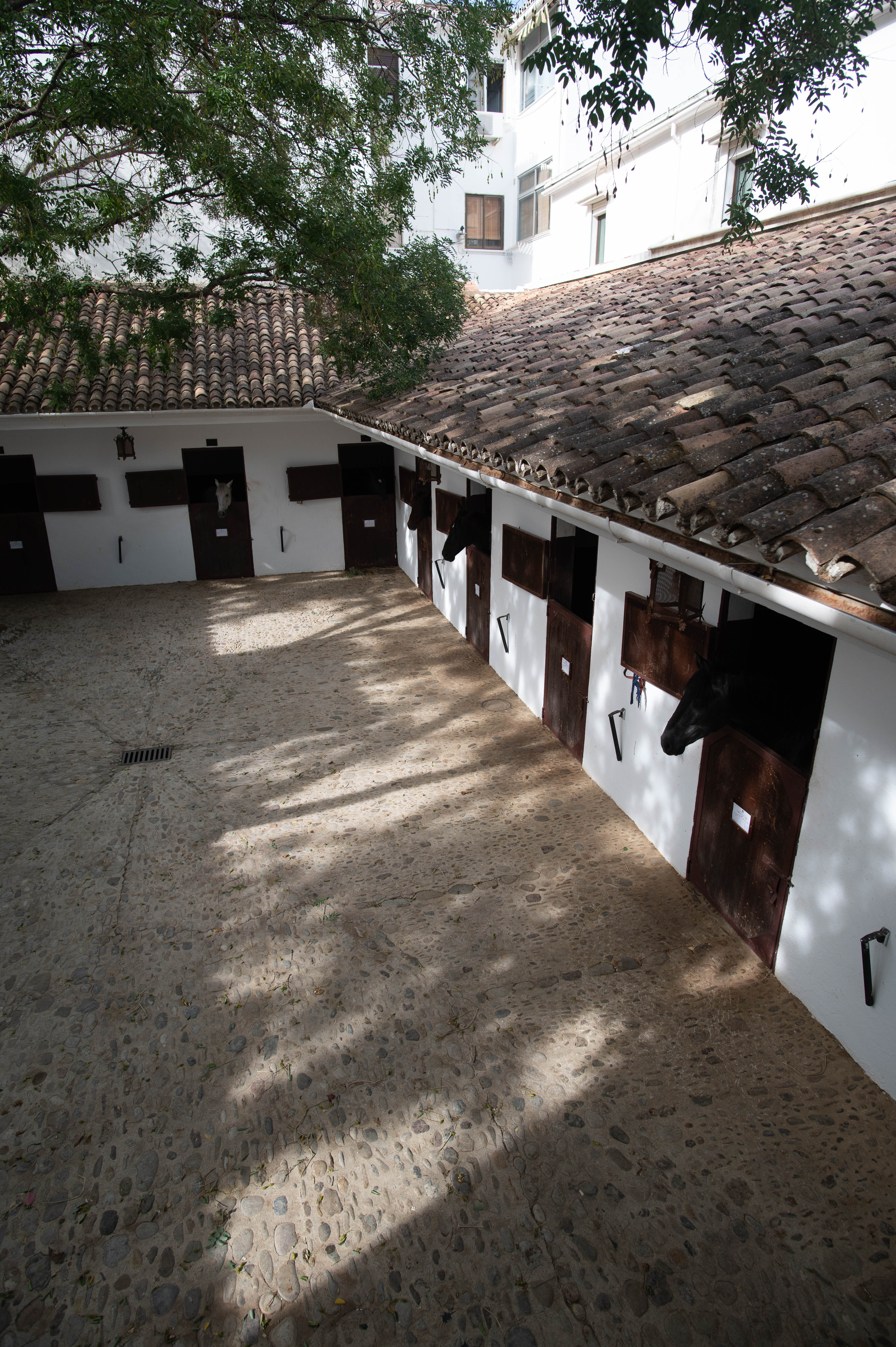 In A Stable Situation