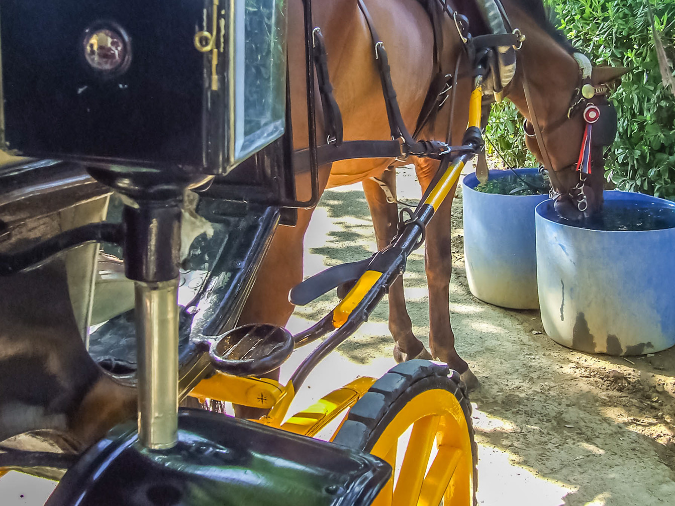 Jardines del Prado de San Sebastián
