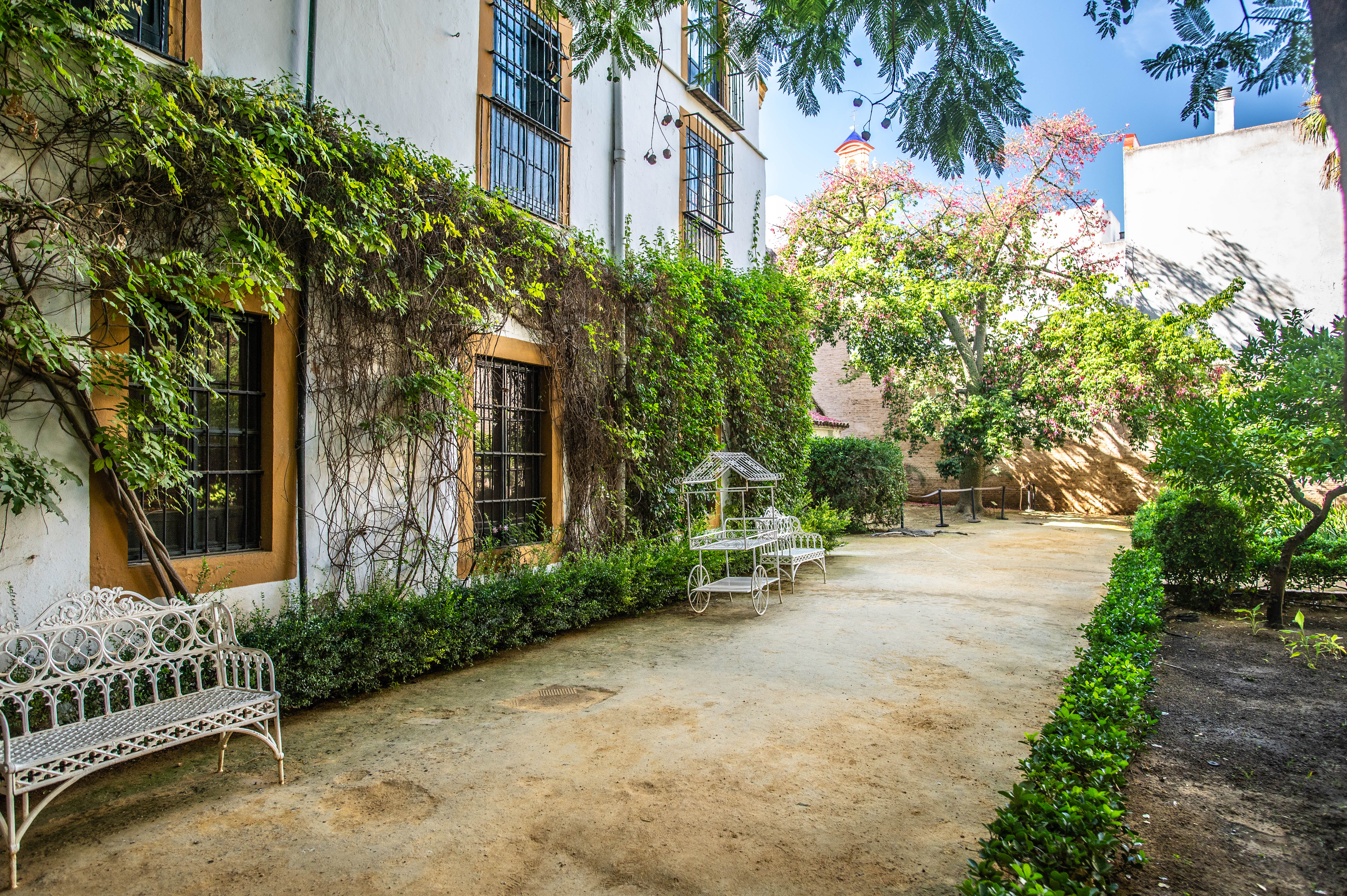 courtyard with white buildings adorned with green vines