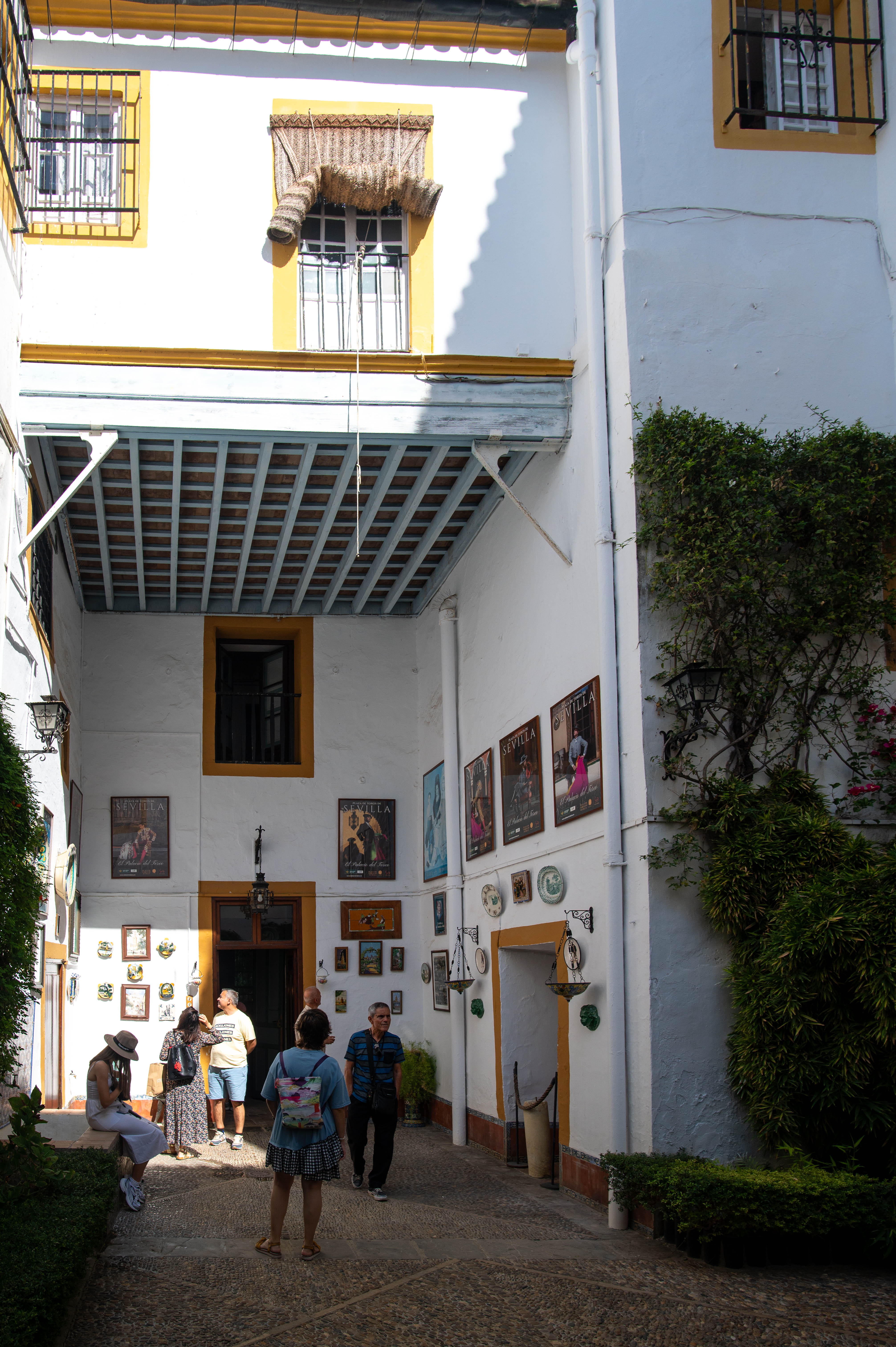 windows with black wrought-iron bars