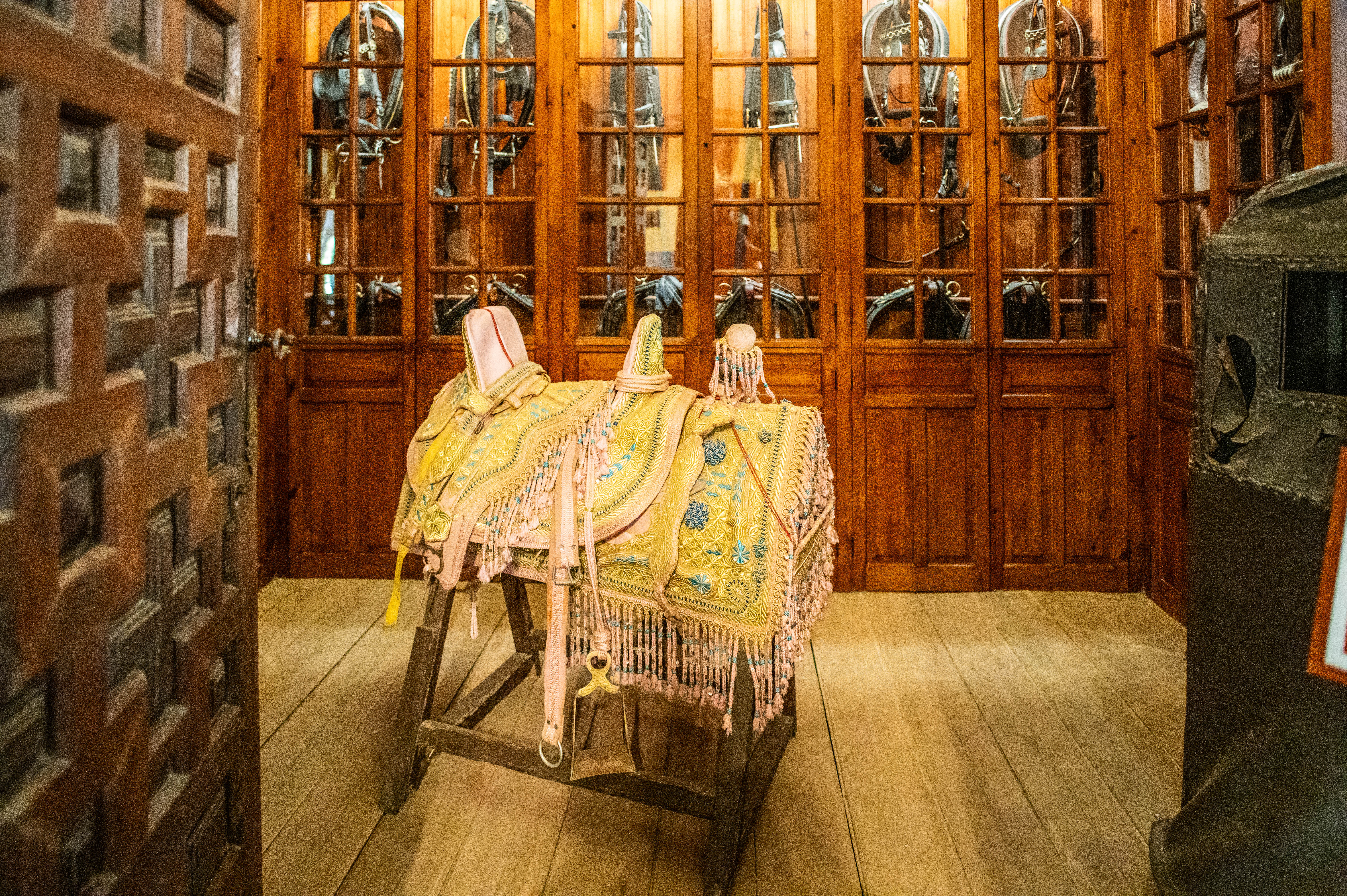 horse saddles and bridles