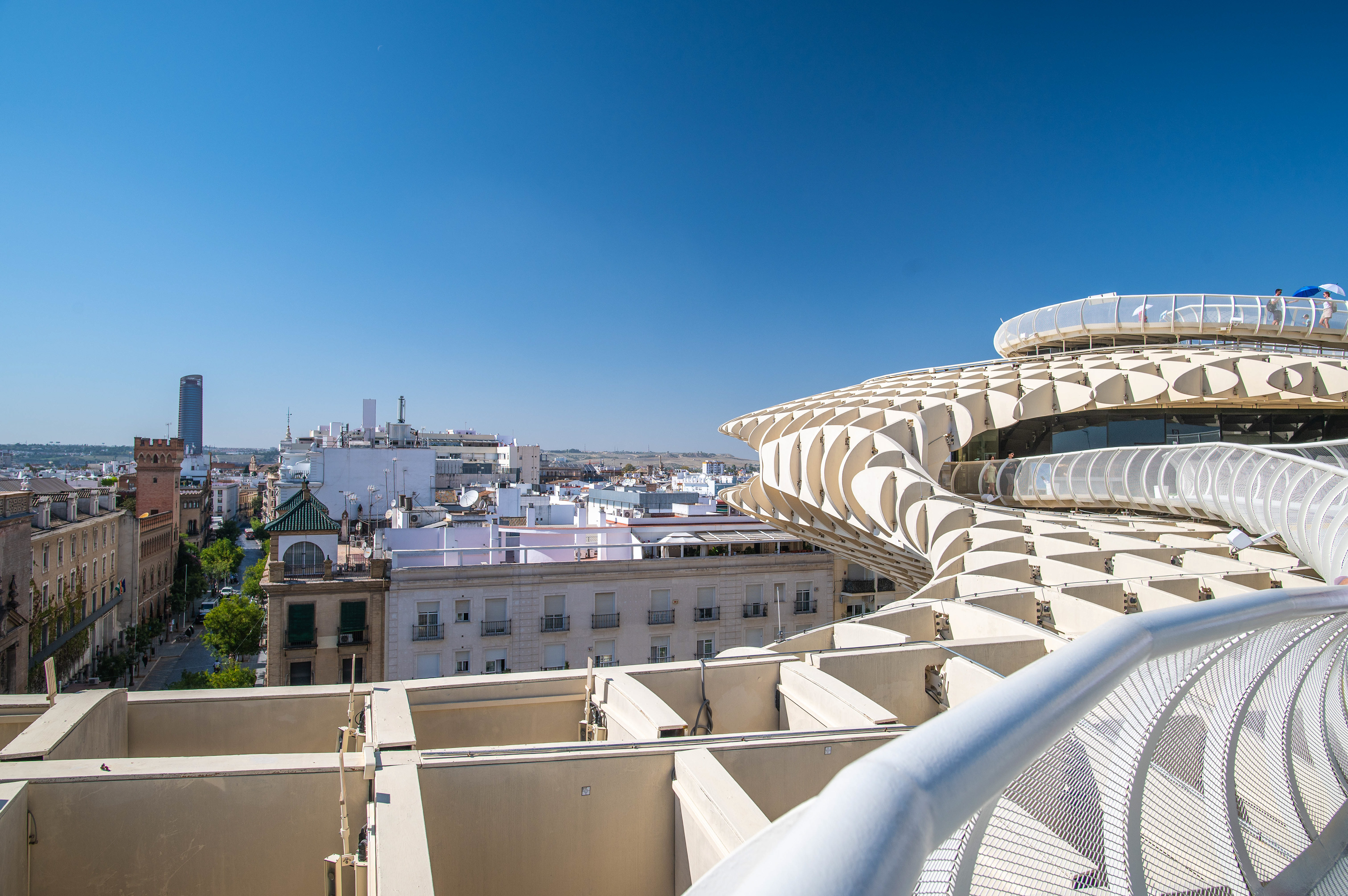 distinctive, flowing design