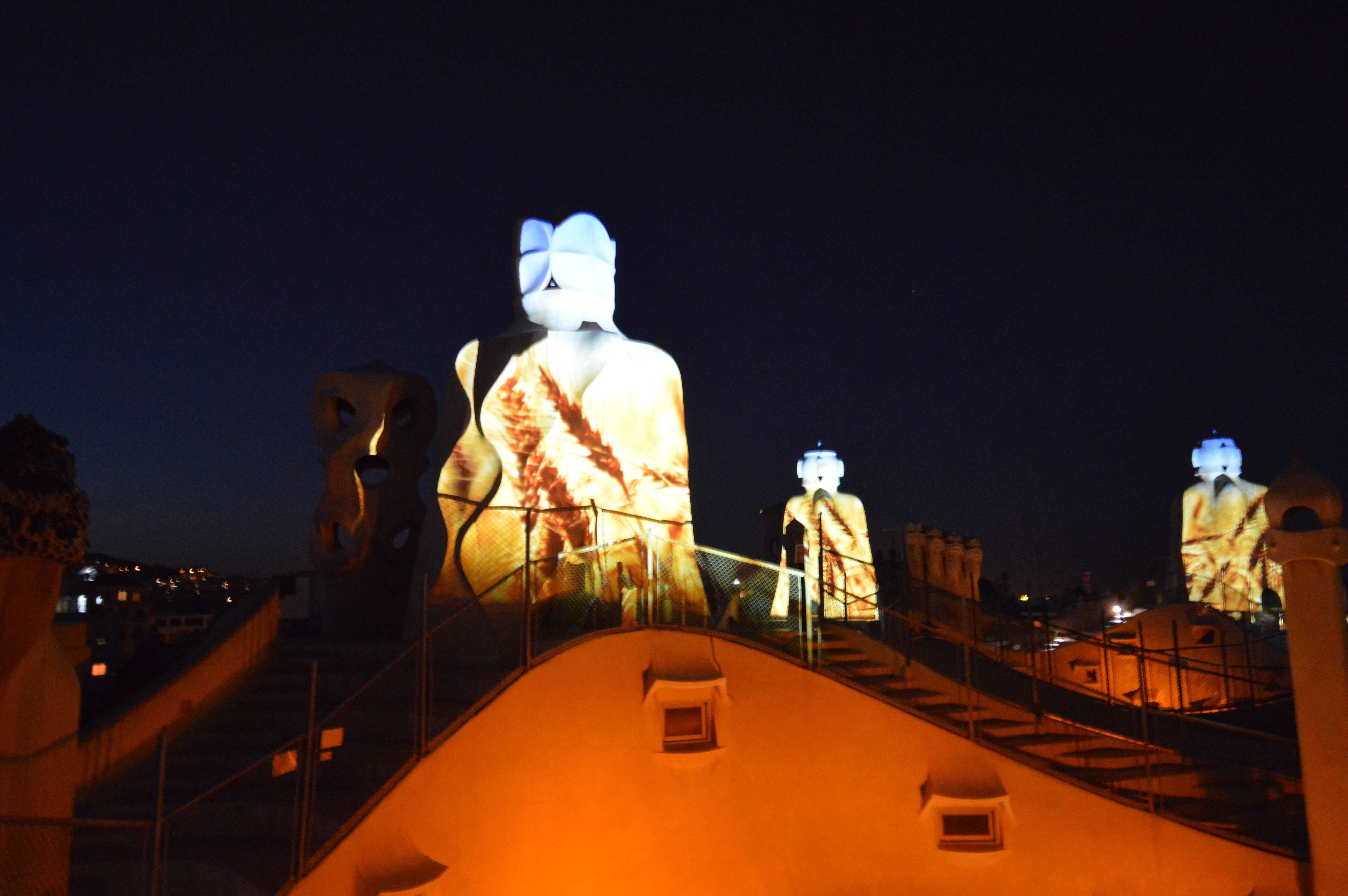 illuminated projections