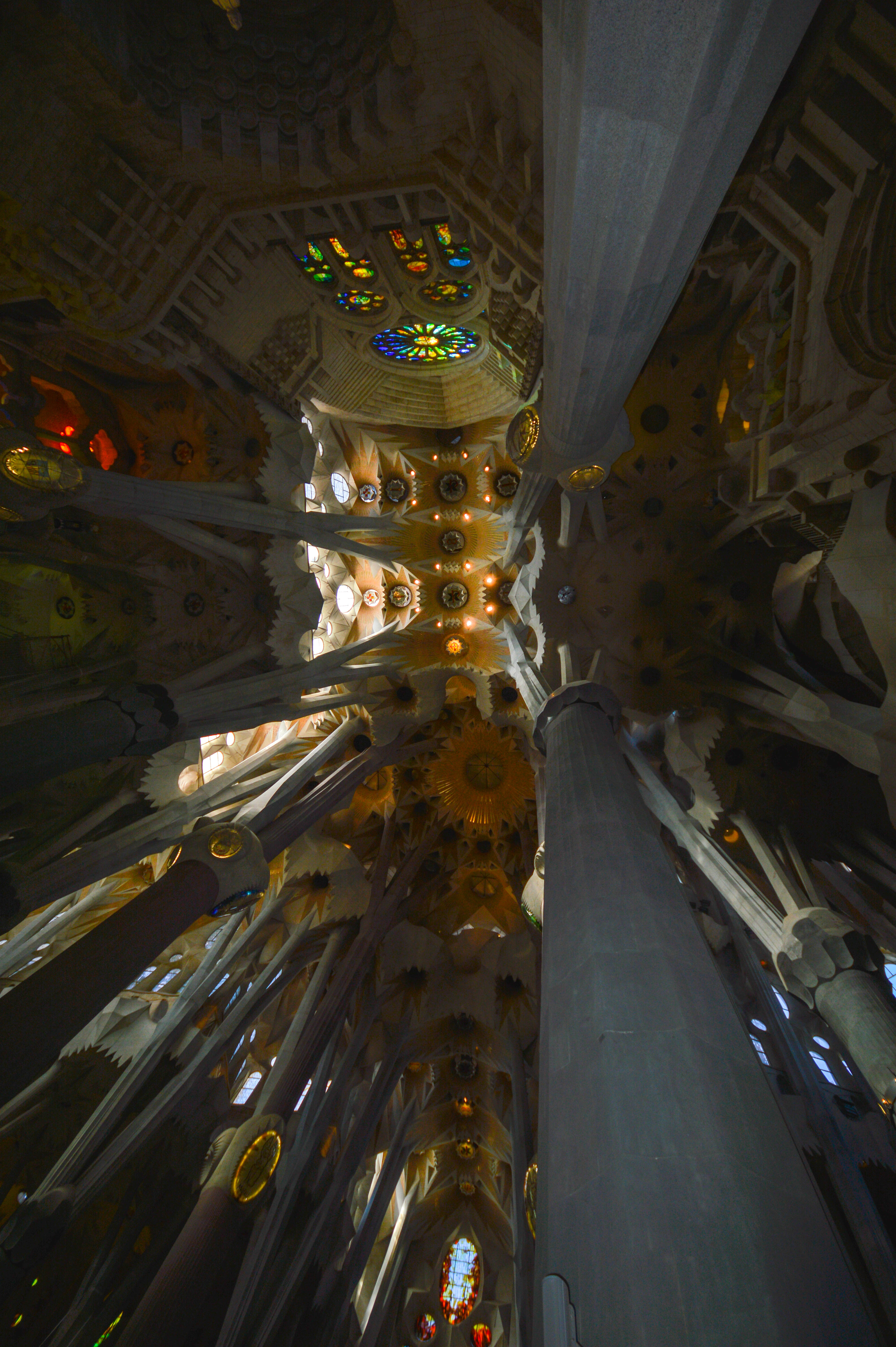 The perspective is from a low angle, looking upwards towards the ceiling