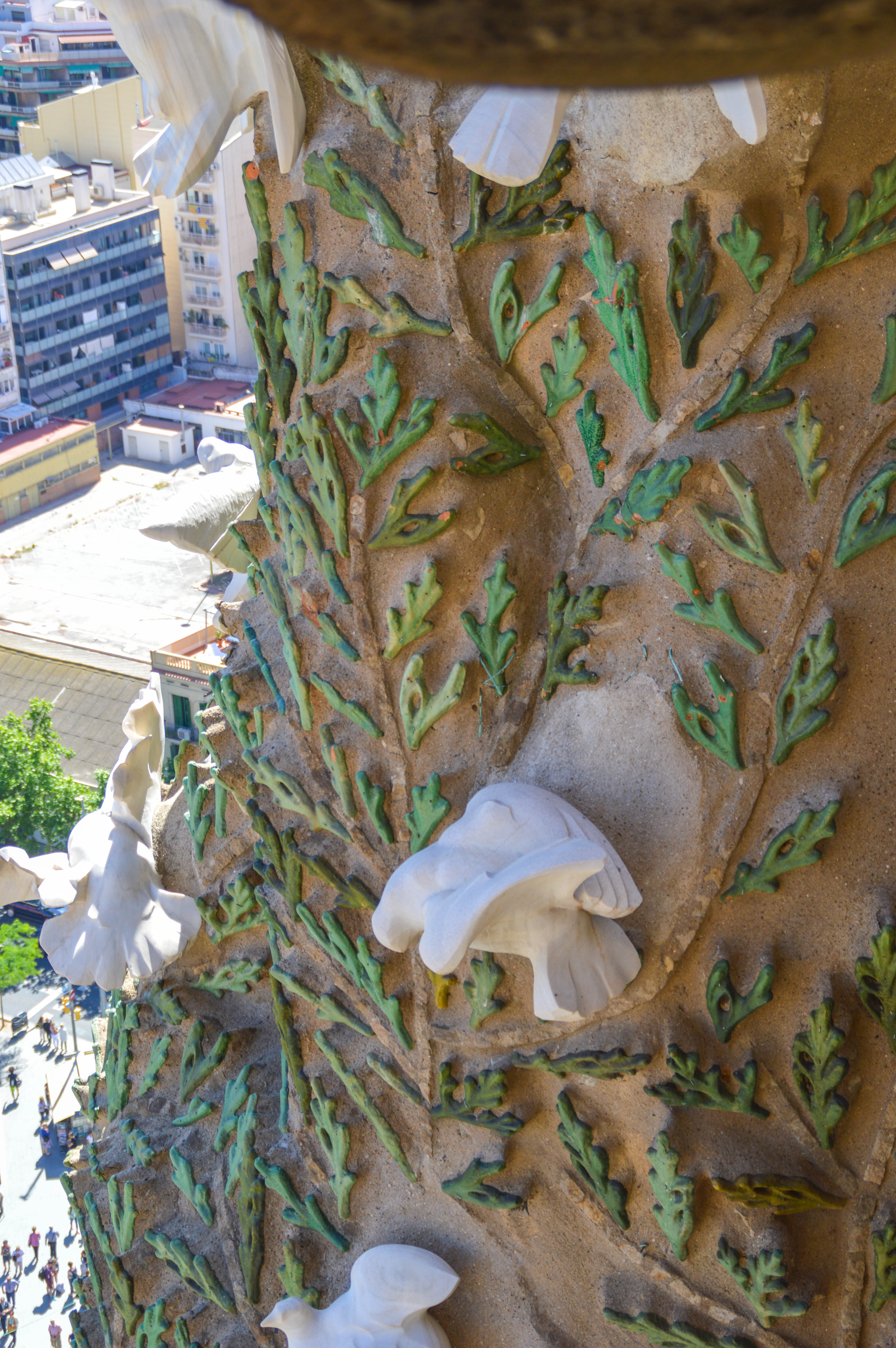 looking out from a tower