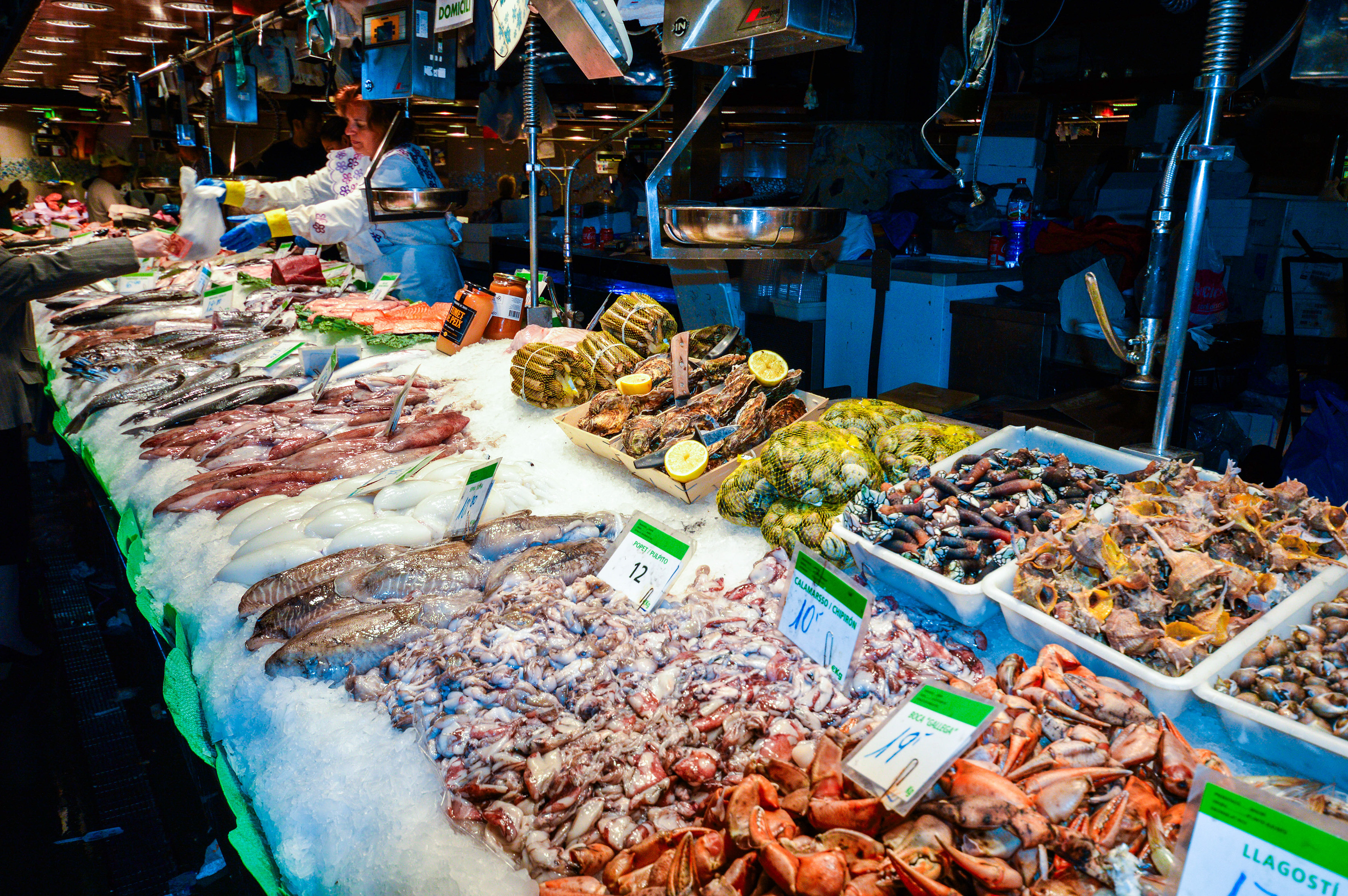 a variety of fresh seafood 