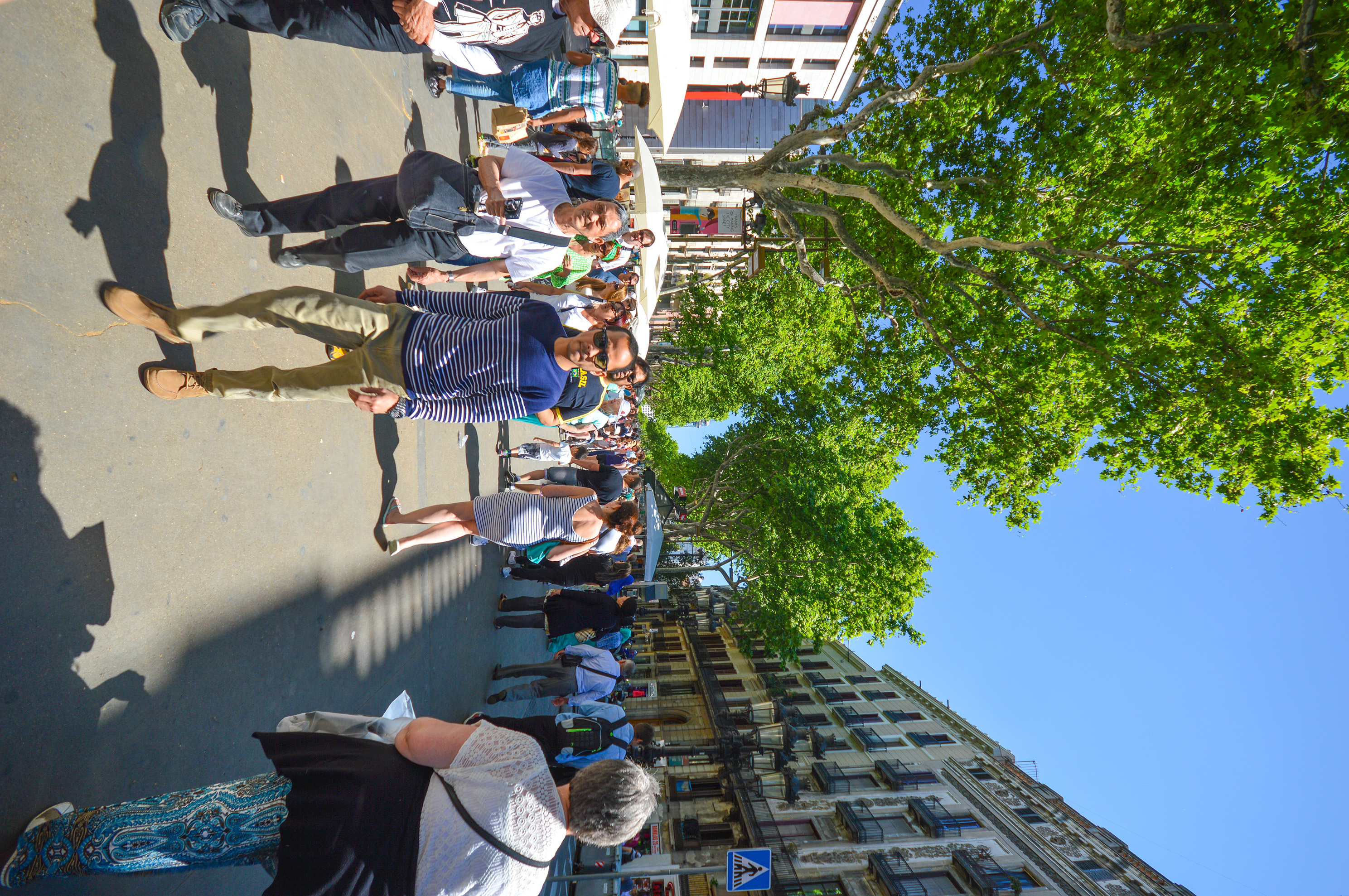 a bustling street scene with a large group of people walking along a sidewalk