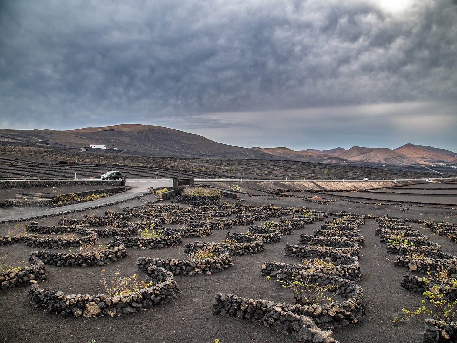 a volcanic landscape with a network of small stone walls creating enclosures