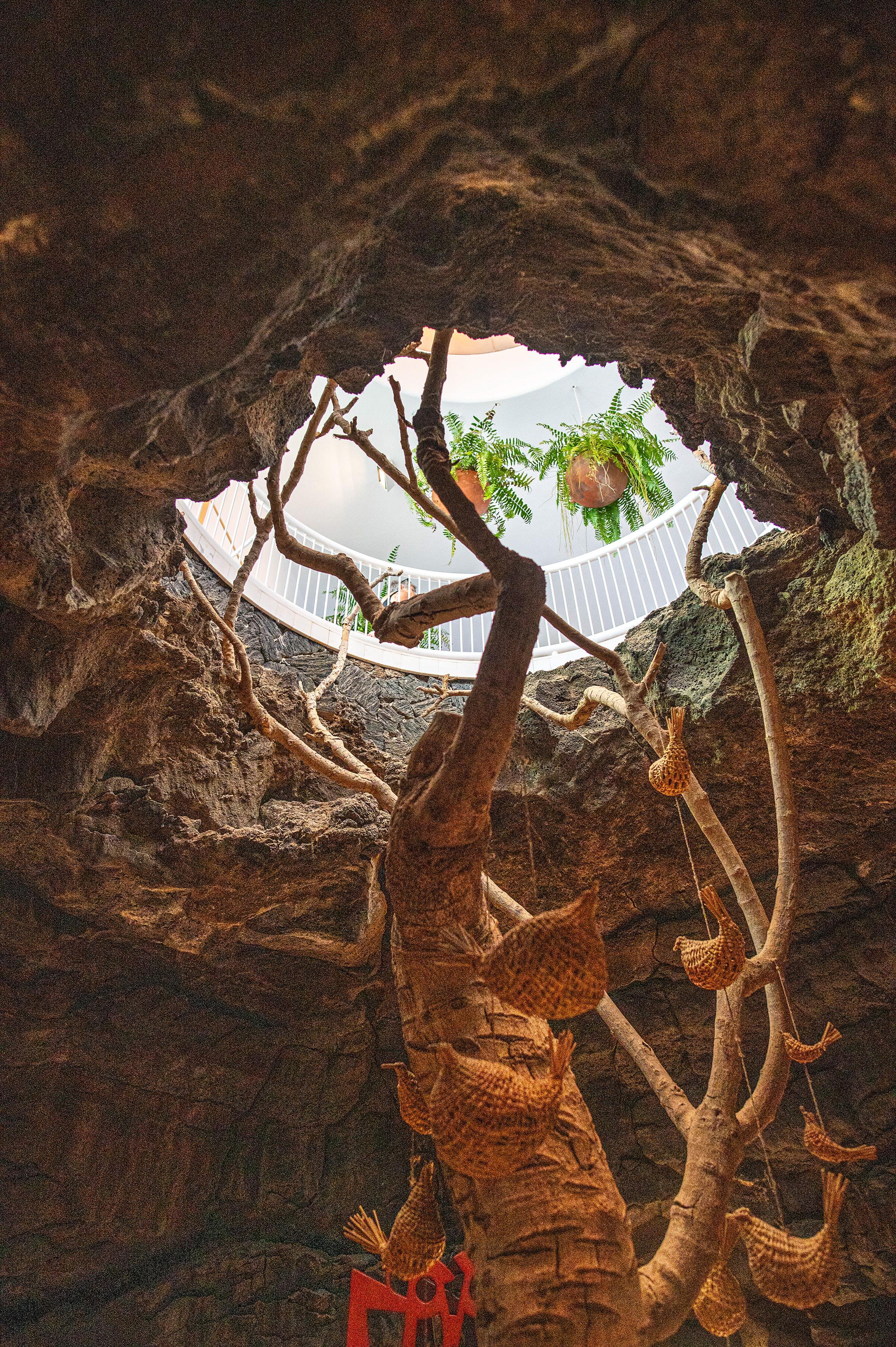 a large tree with multiple branches extending upwards towards a circular opening in the ceiling
