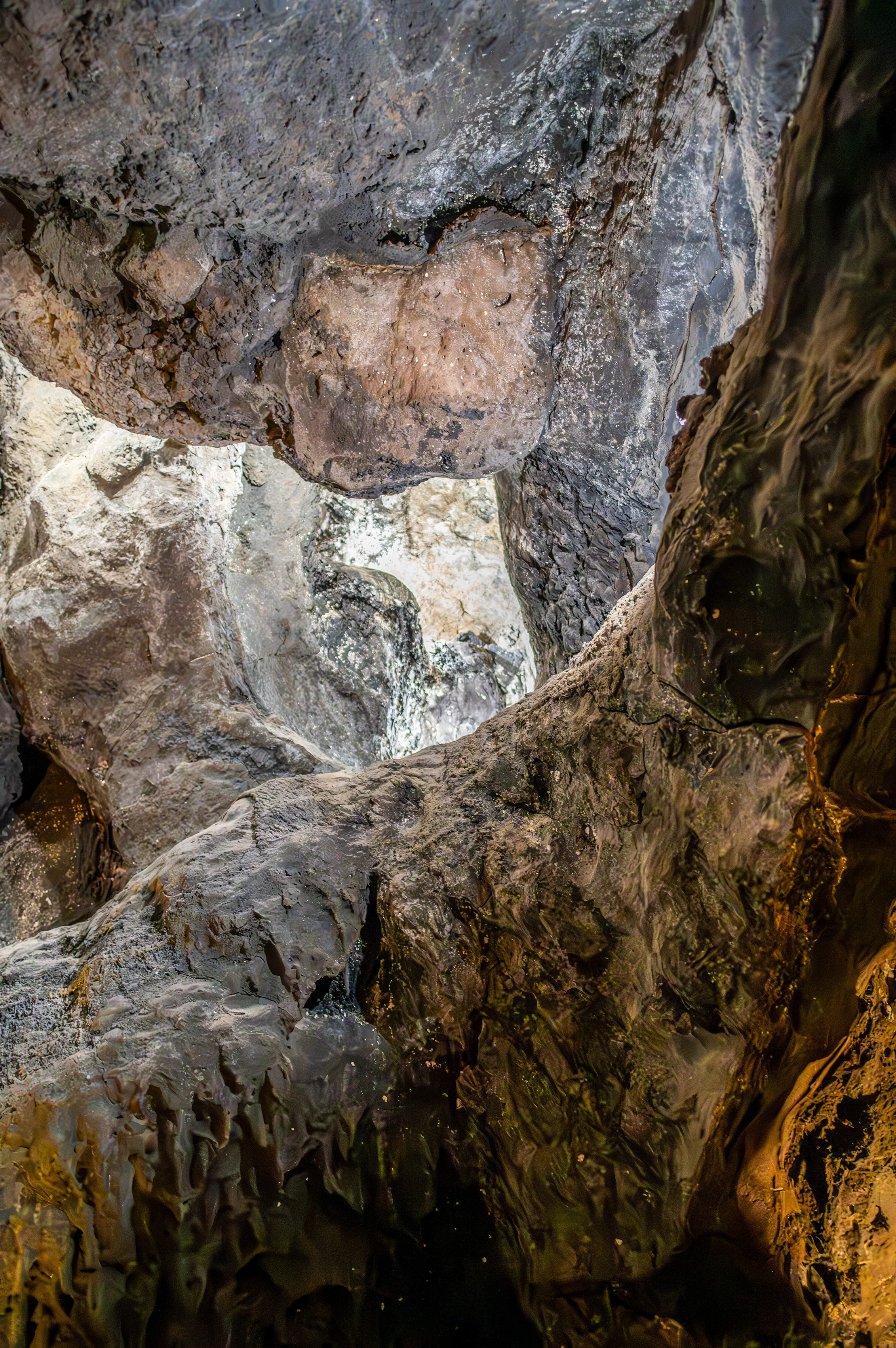 a variety of textures and colors