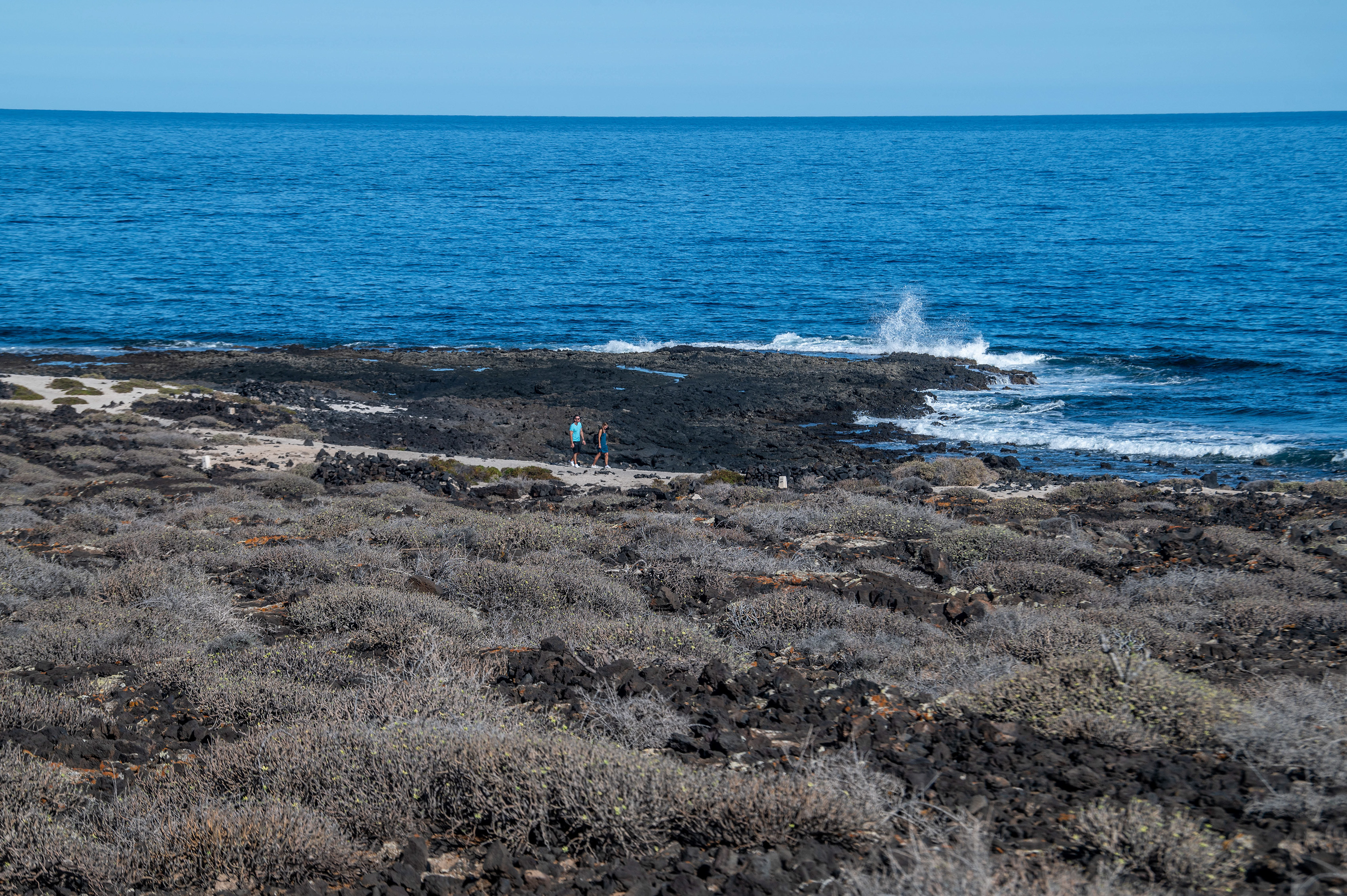 a rocky shoreline