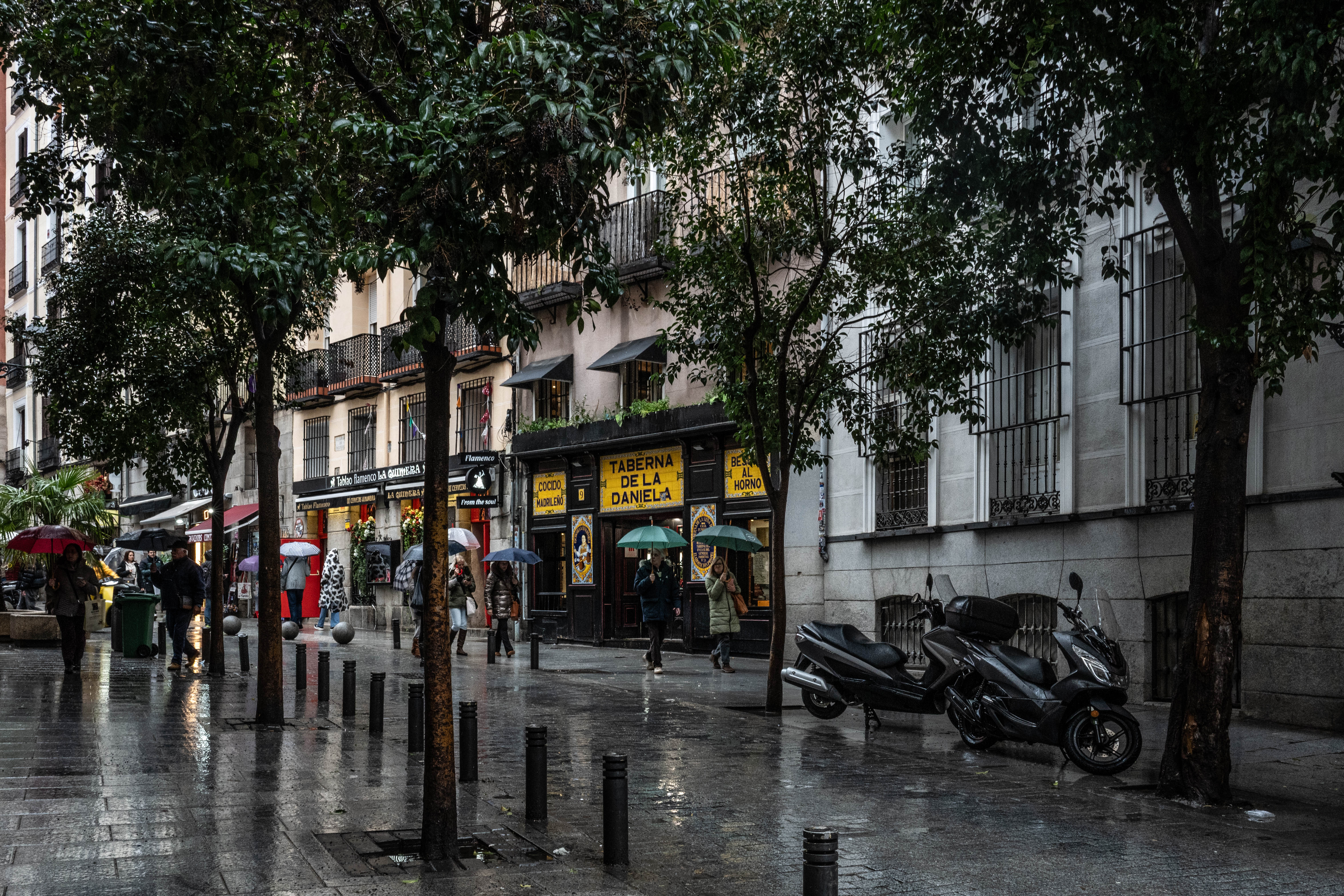 Taberna De La Daniela