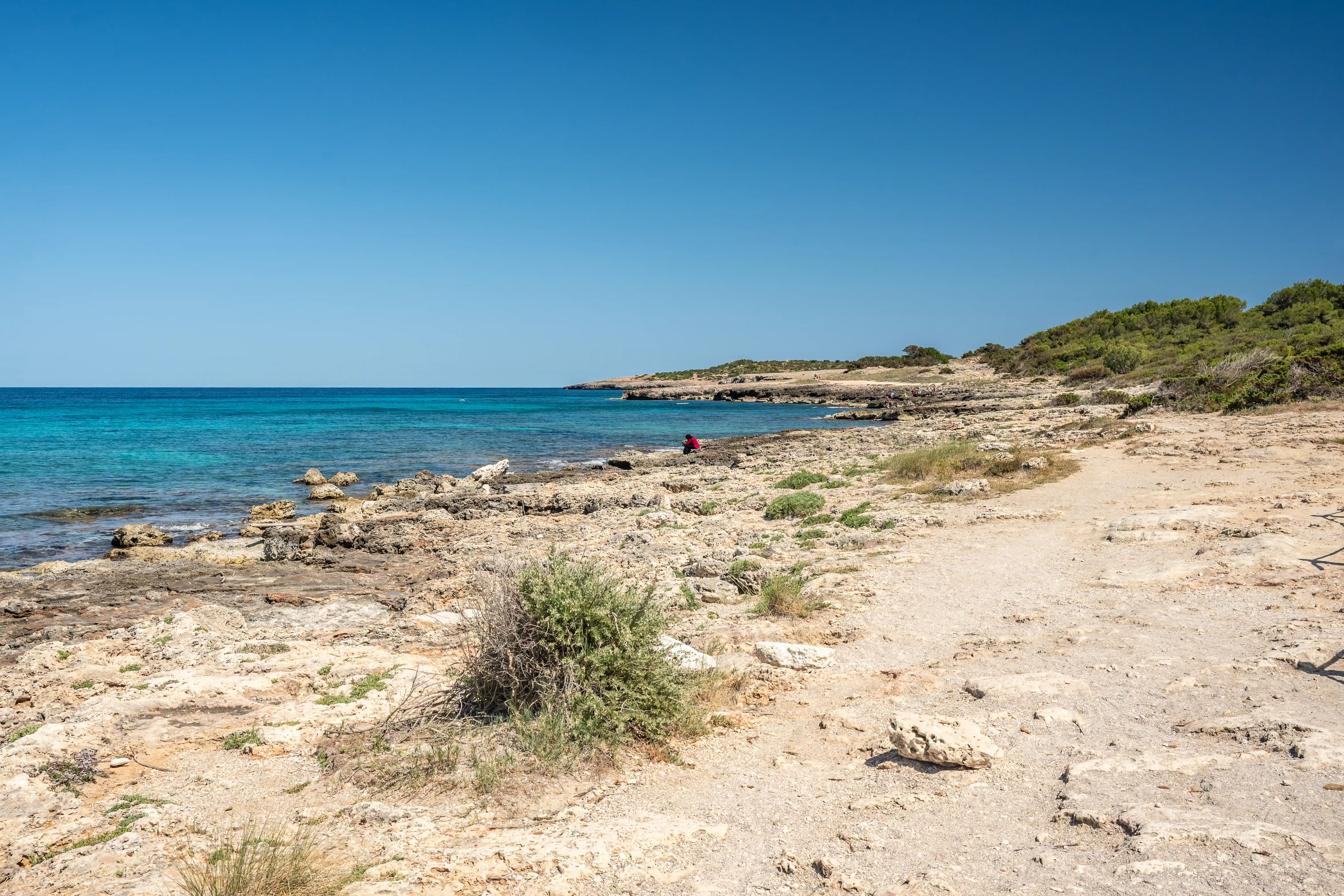 A person in a red shirt sits on a rocky beach next to clear turquoise water, with a sandy path leading towards a green, tree-covered hillside under a bright blue sky.