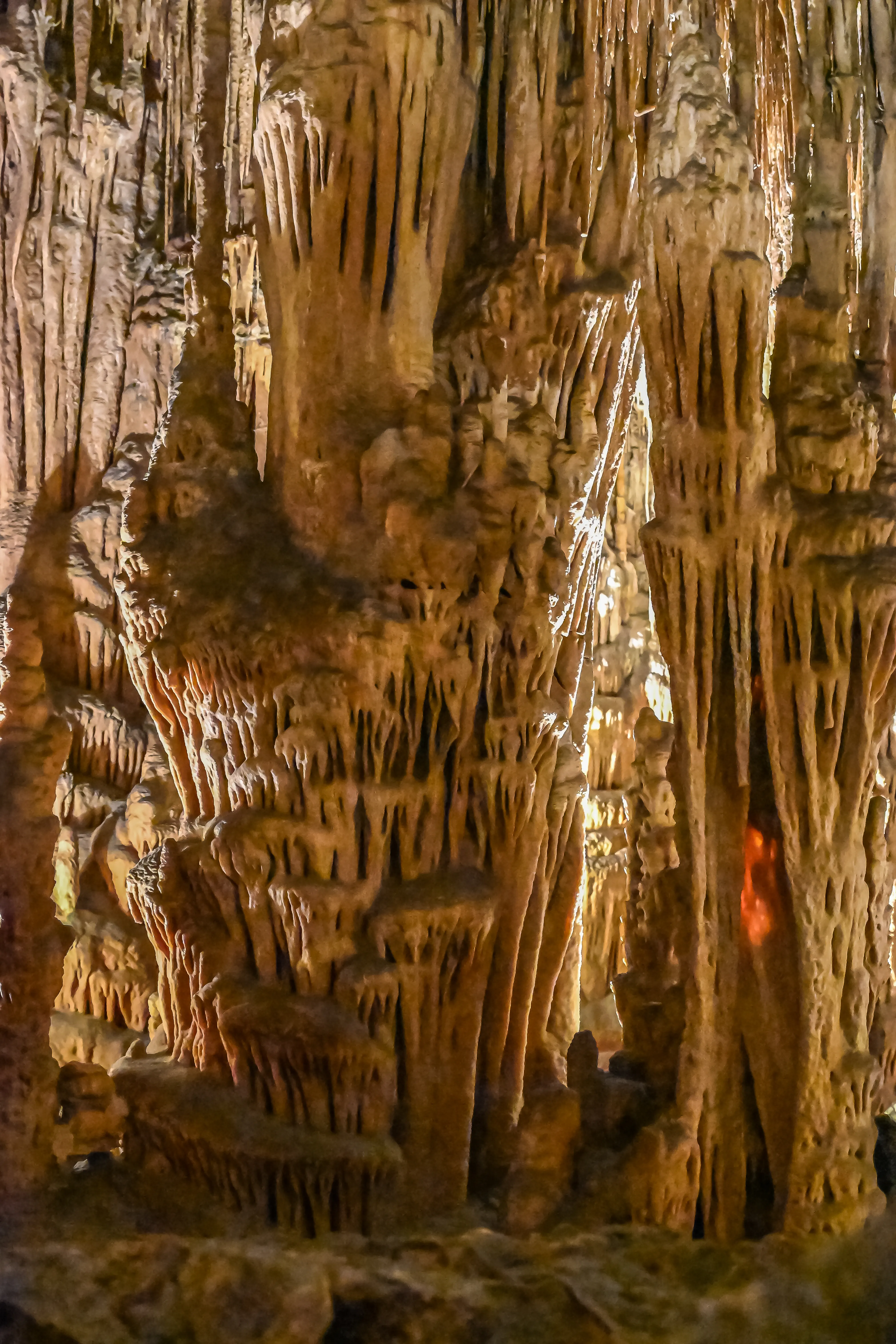 Close-up view of numerous tall, conical stalactites and stalagmites in a cave, with warm lighting illuminating their textured surfaces and casting shadows.