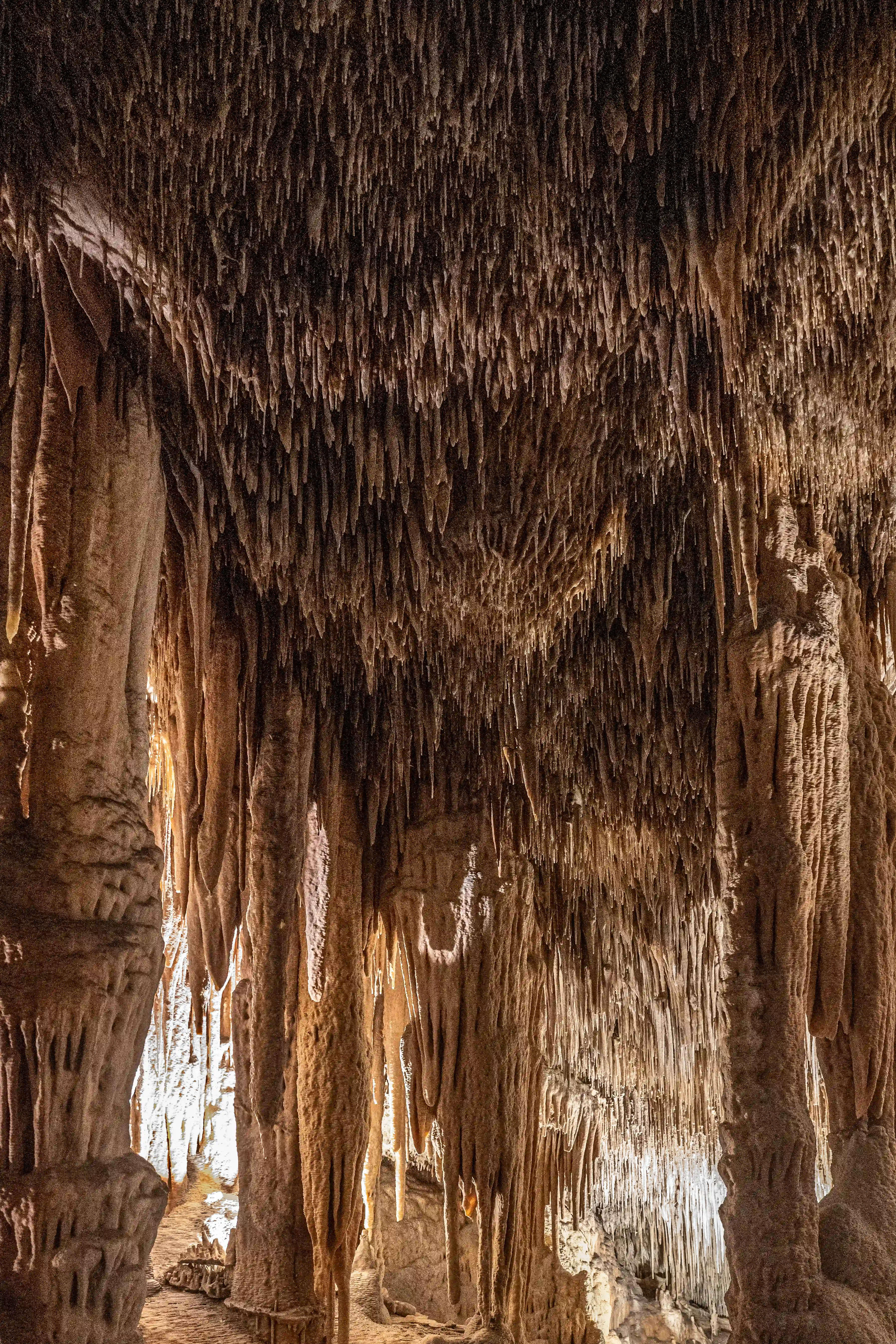 A close-up, low-angle view of a cave ceiling densely packed with numerous stalactites. The formations hang like icicles, with varying lengths and thicknesses, catching warm, artificial light that highlights their earthy tones and intricate textures.