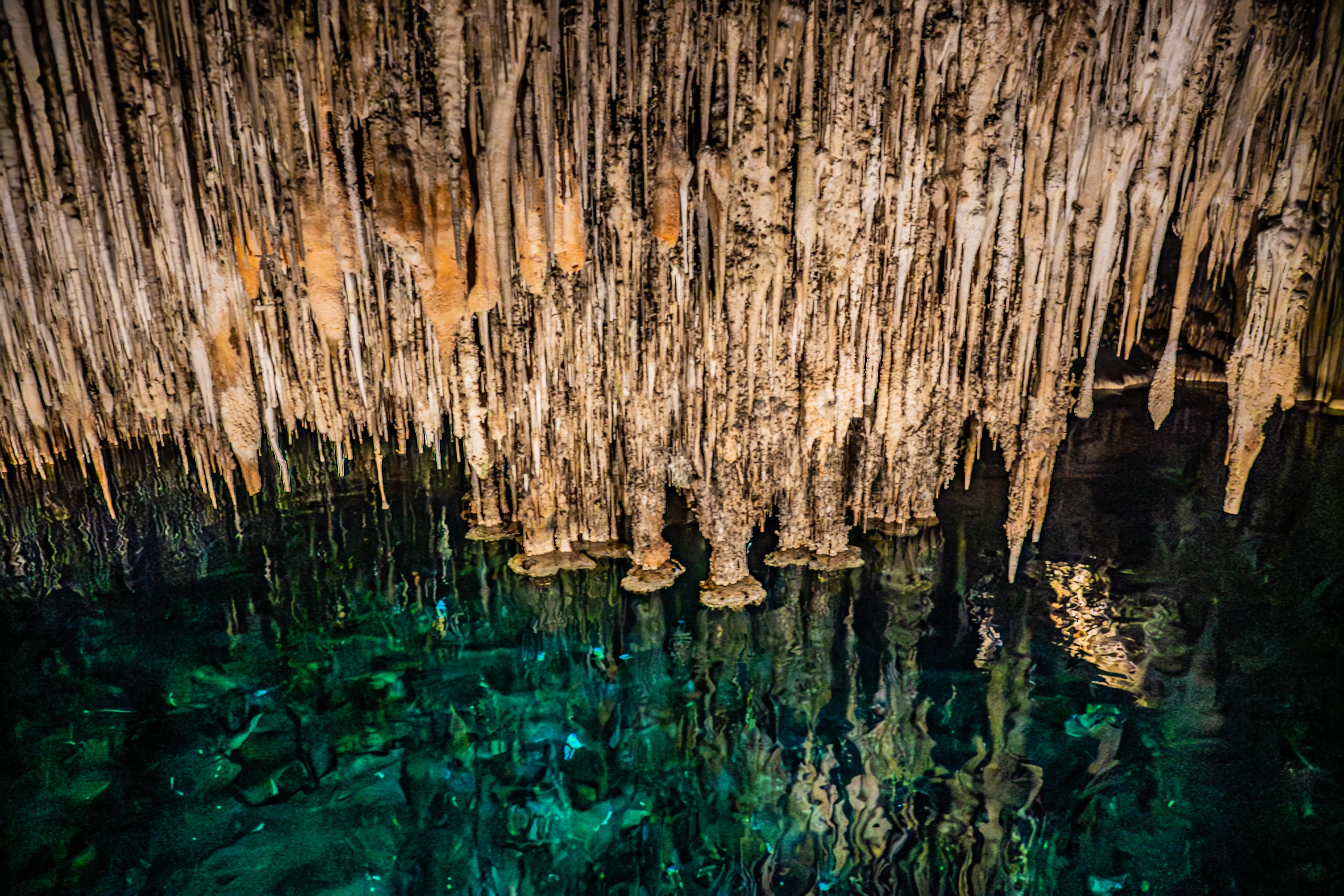  Numerous natural stalactites hang from a cave ceiling, their reflections shimmering in the vibrant, turquoise water of a cenote below.