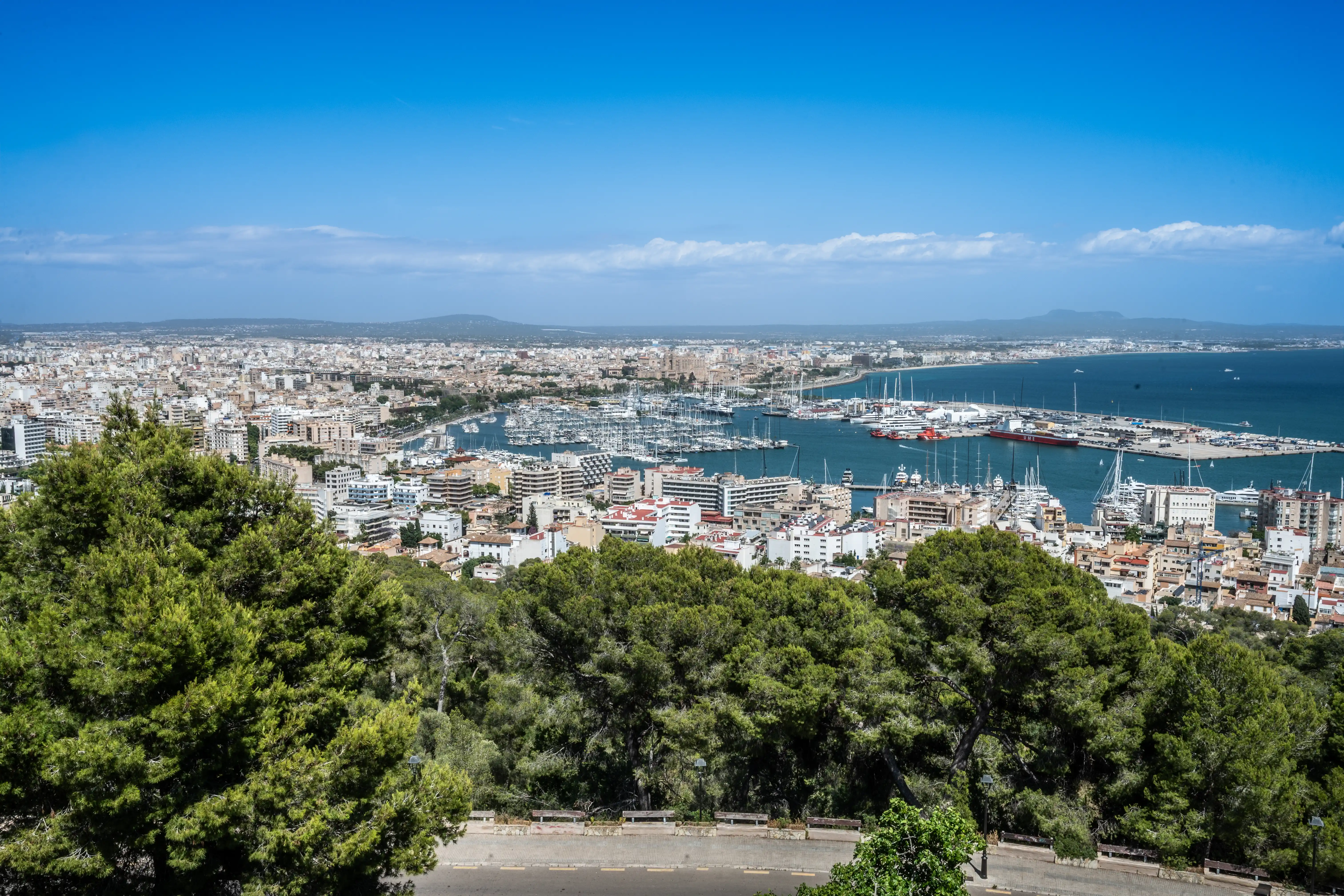 Overhead view of the harbour of Palma de Mallorca, with many boats docked and the city skyline in the background, framed by green trees.