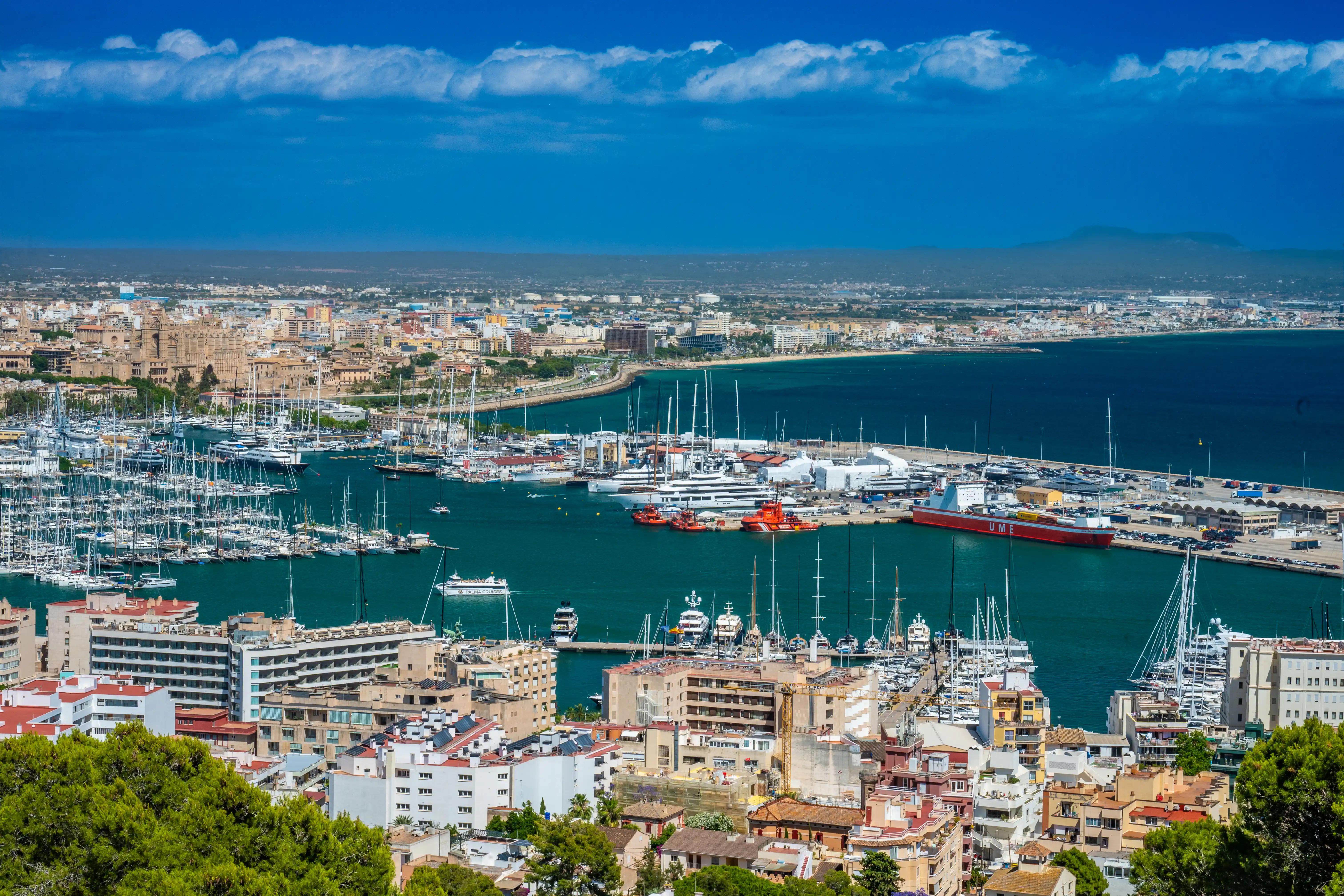 Panoramic aerial view of Palma de Mallorca's harbour, filled with a multitude of sailboats and yachts, with the city skyline and a large cathedral visible in the background under a bright blue sky with white clouds.