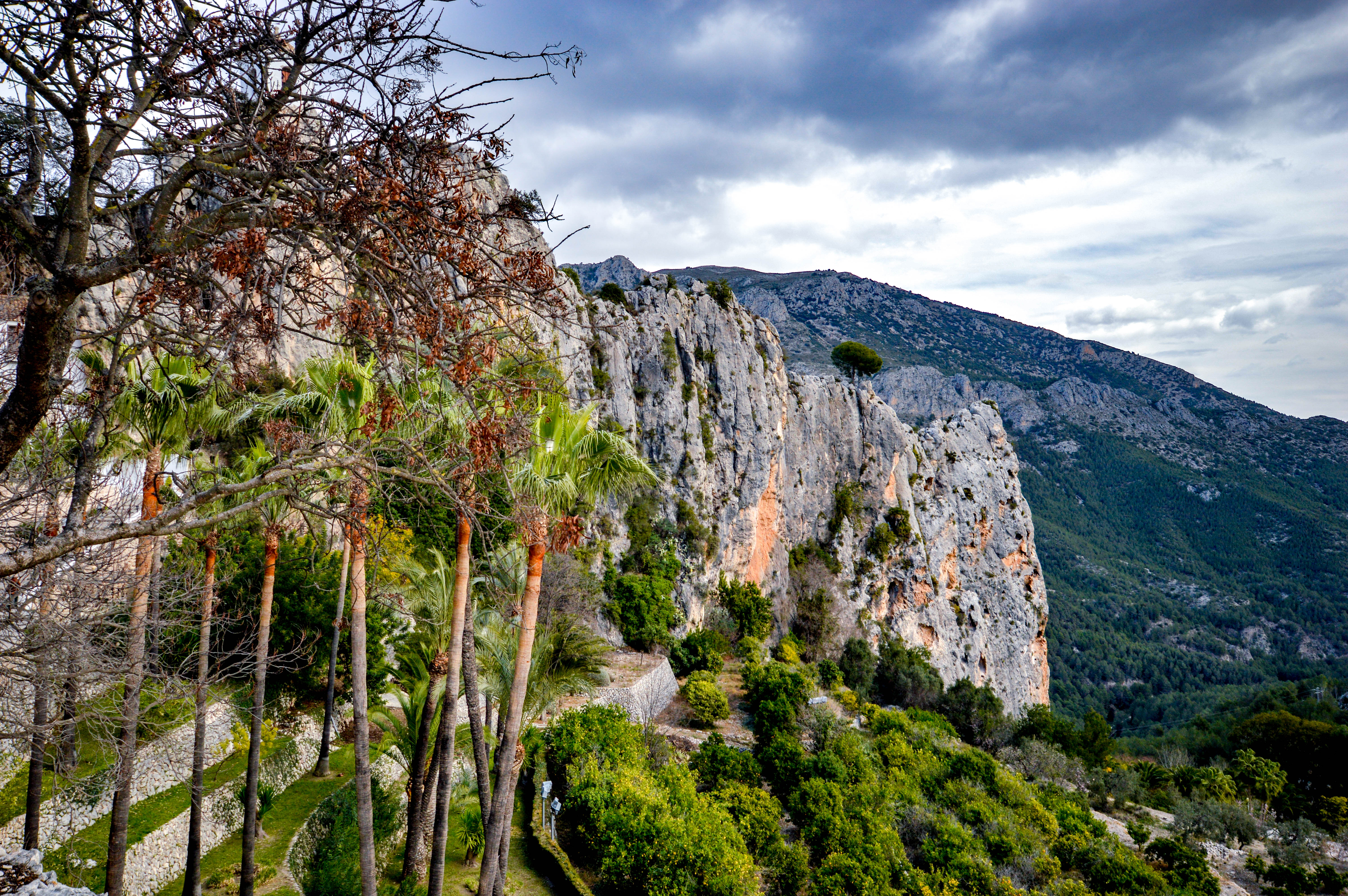 scenic landscape featuring a rocky cliff with a forested mountain range