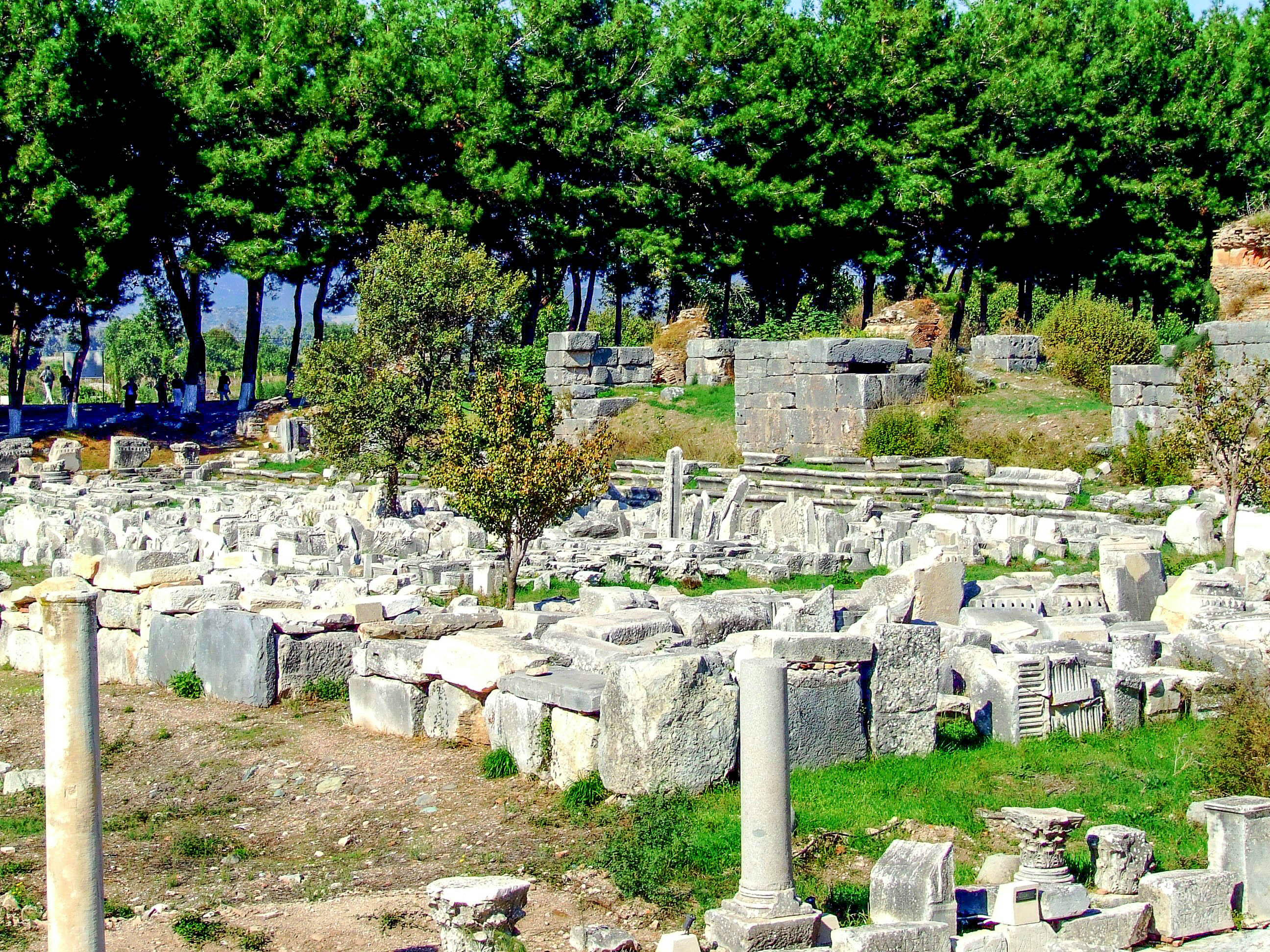 Ancient Greek Agora