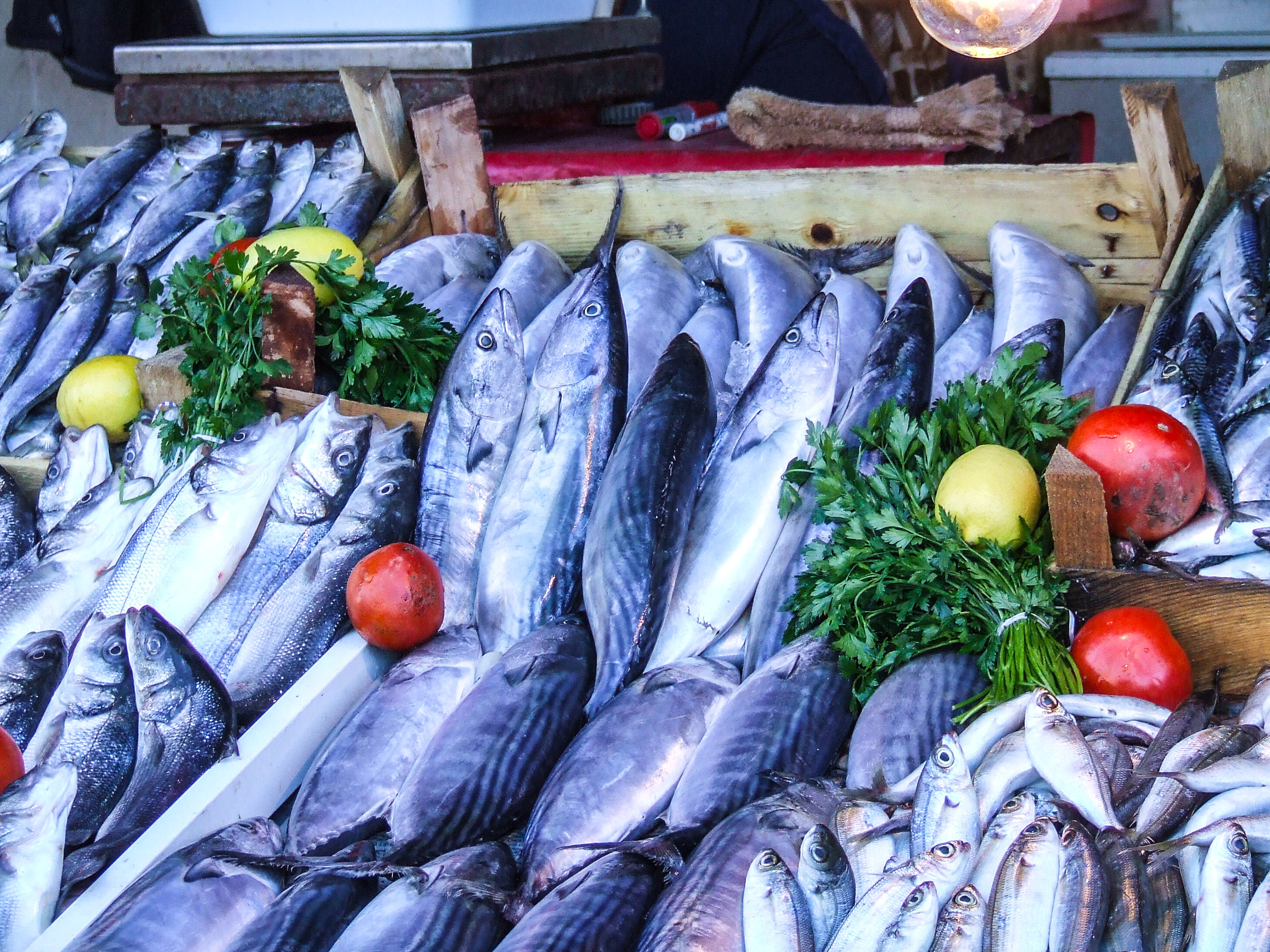 fresh fish arranged neatly on a bed of ice