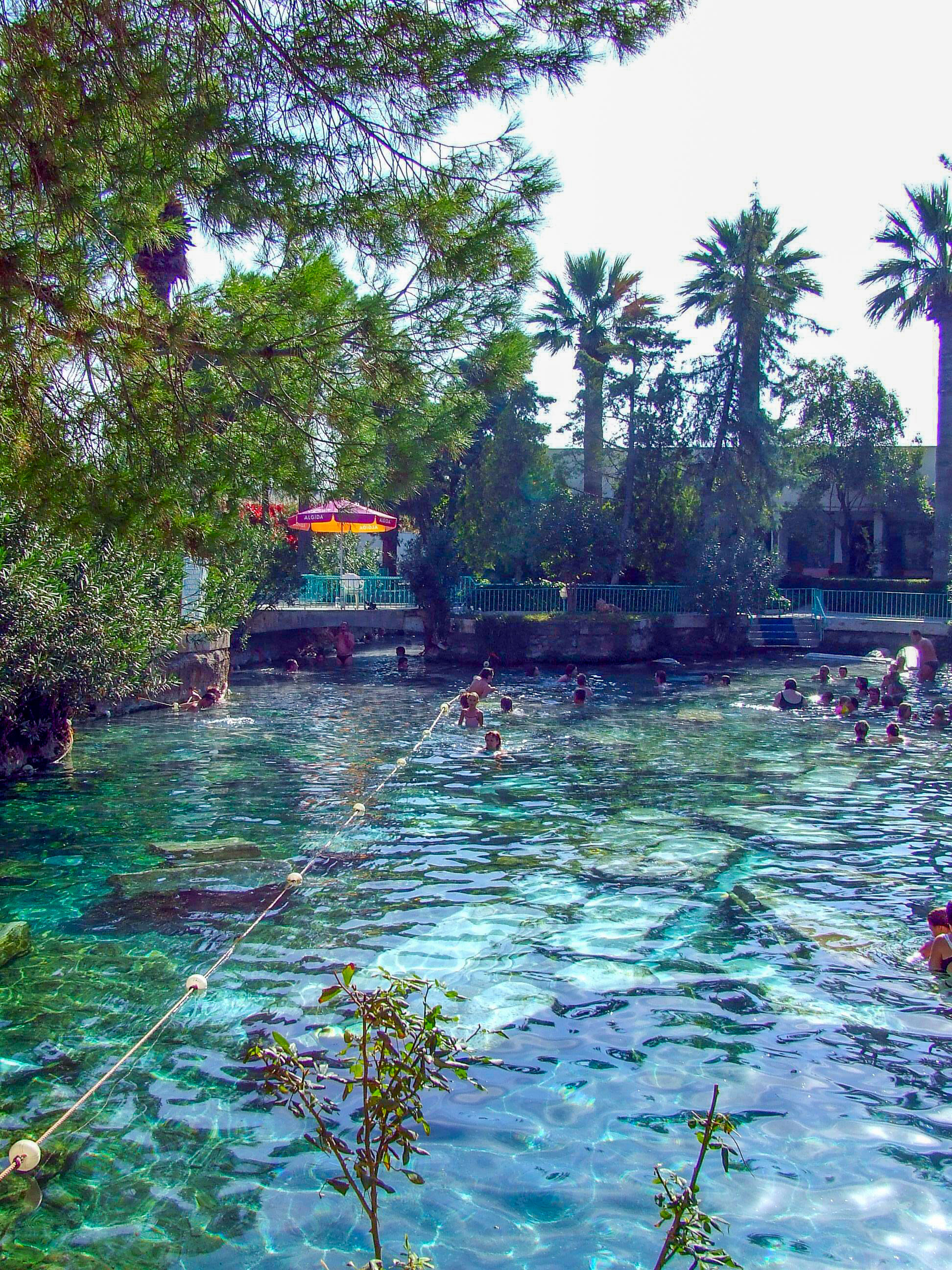 swimming and enjoying the clear, blue-green water
