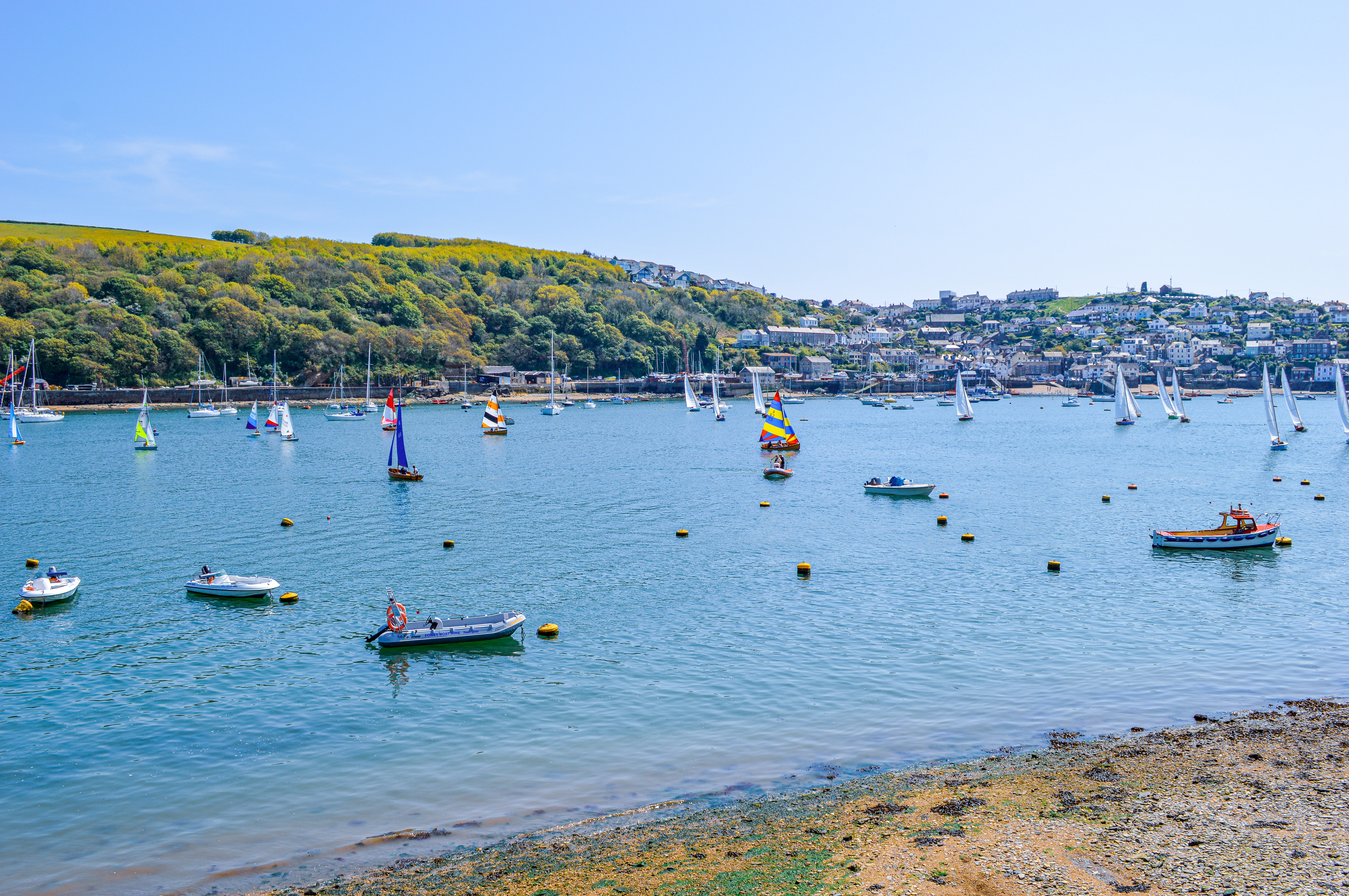 Fowey Harbour #229
