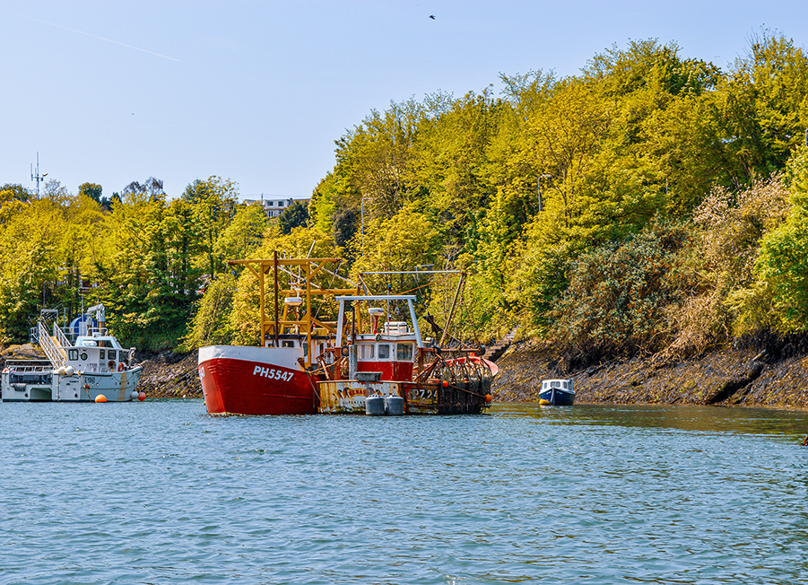 The image depicts a serene waterfront scene with several boats docked near a shore lined with lush, green trees. The largest boat in the foreground is red and white with the registration number PH5547 clearly visible. The water is calm, and the overall atmosphere is peaceful and picturesque.