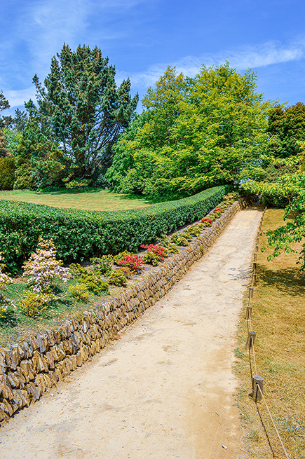 The image depicts a serene garden path bordered by a stone wall. The path is surrounded by lush greenery and vibrant flowers, with a large tree in the background under a clear blue sky.