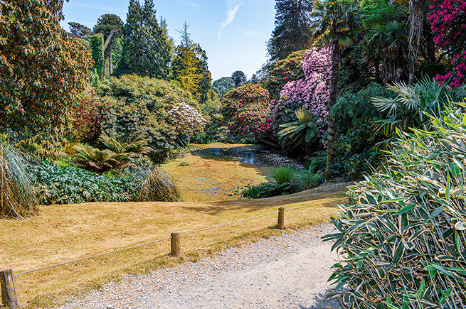 The image depicts a serene garden scene with a winding path leading through lush greenery and vibrant flowers. The path is bordered by various types of plants and trees, creating a tranquil and inviting atmosphere. A small stream or pond is visible in the background, adding to the peaceful ambiance. The garden is well-maintained, with a variety of colors and textures contributing to its beauty.