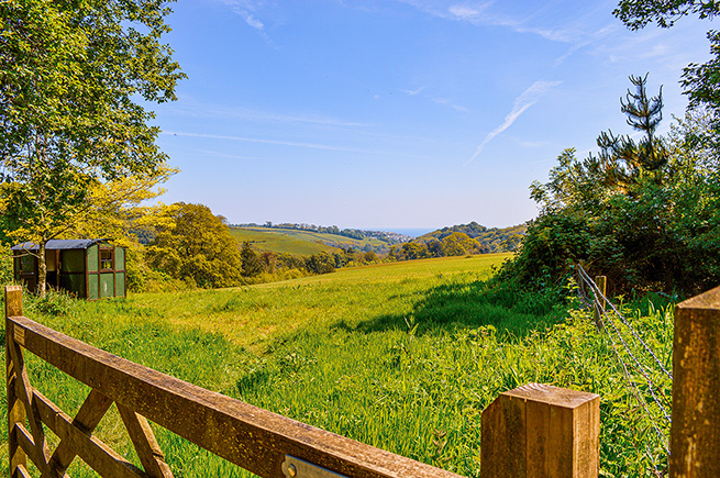 The image depicts a serene countryside landscape with lush green fields, rolling hills, and a clear blue sky. There is a wooden fence in the foreground, and a small structure, possibly a shed or a cabin, is visible on the left side of the image. The scene is framed by trees on either side, creating a picturesque and tranquil setting.