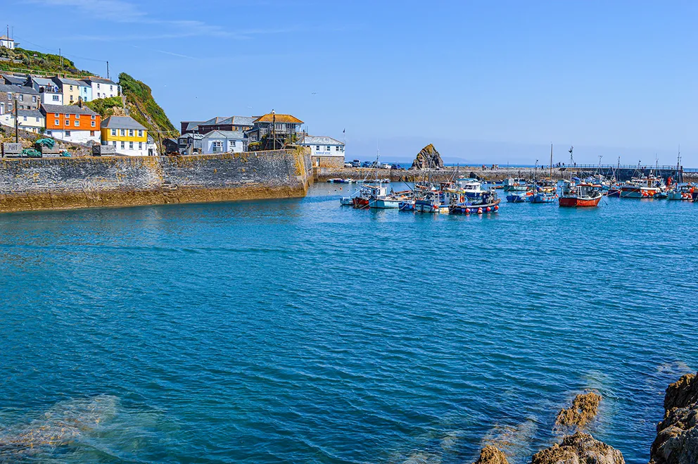 The image depicts a picturesque coastal village with colorful houses on a hillside overlooking a harbor. The harbor is filled with various boats floating on calm, blue water. The scene is serene and vibrant, showcasing a typical day in a quaint seaside town.