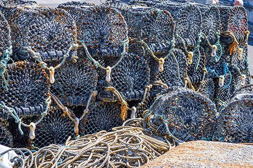 The image shows a collection of lobster traps, also known as lobster pots or lobster cages, stacked together. These traps are typically made of wire mesh and are used for catching lobsters. The traps are secured with ropes, which are also visible in the image. The setting appears to be a dock or a harbor, where such traps are commonly stored when not in use. The image captures the rugged and utilitarian aspect of lobster fishing equipment.