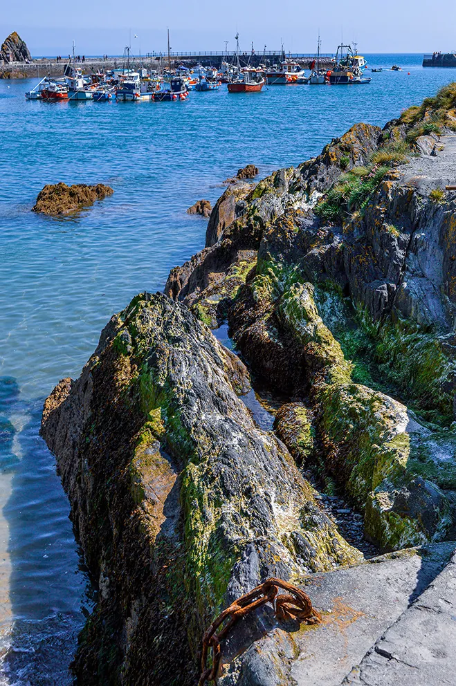 The image depicts a rocky coastline with a variety of boats anchored in a harbor. The foreground features rugged, moss-covered rocks extending into the clear blue water. In the background, numerous boats of different sizes and colors are docked or anchored near a pier and harbor structures. The scene suggests a serene coastal environment, possibly a fishing village or a small port town.