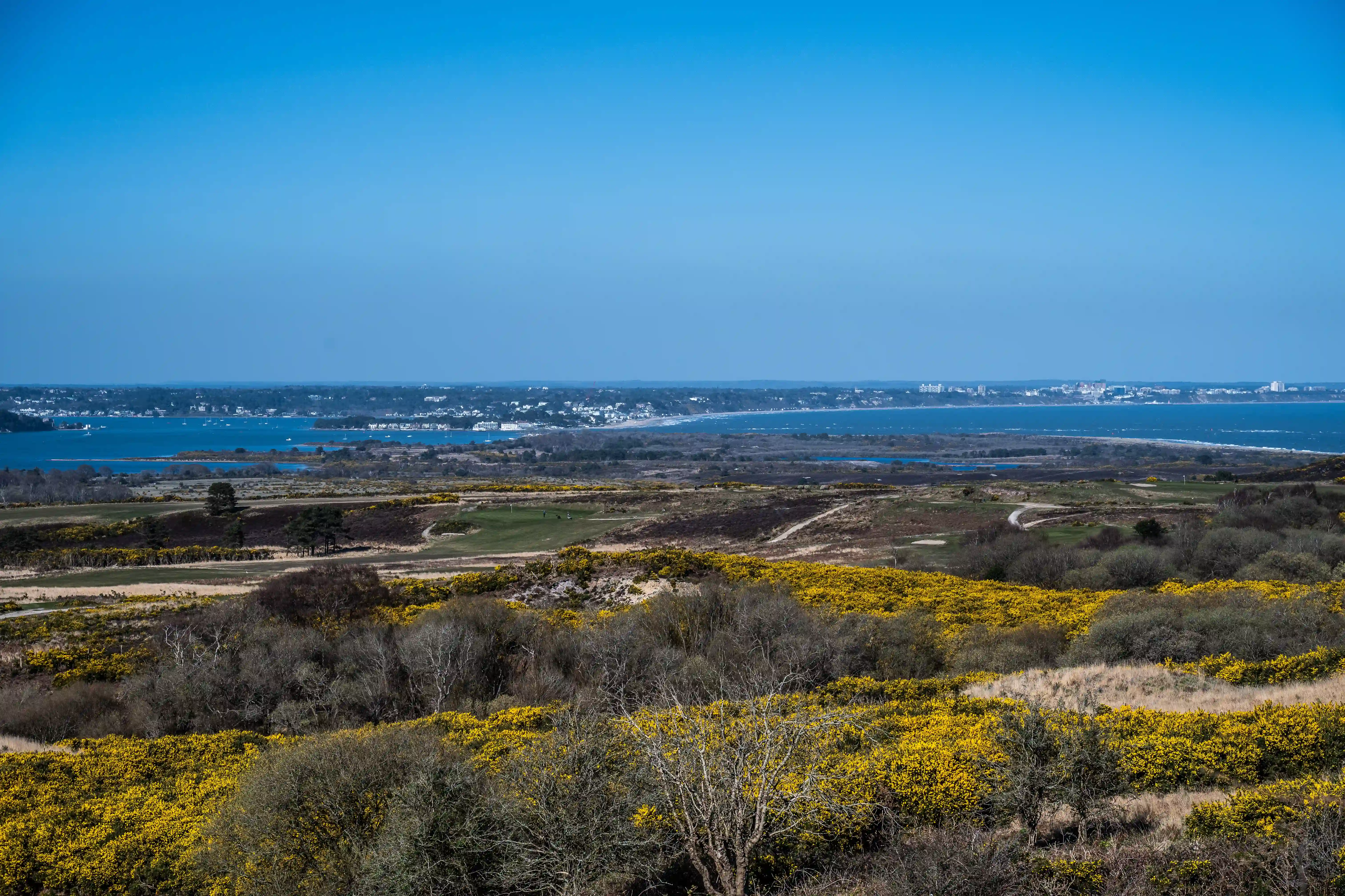The image depicts a scenic landscape featuring a coastal area with a vast expanse of water, possibly a sea or large lake, under a clear blue sky. The foreground is dominated by a hilly terrain with patches of yellow flowers and sparse vegetation. In the distance, a cityscape with numerous buildings can be seen along the coastline. The overall scene suggests a beautiful, serene environment with a mix of natural and urban elements.