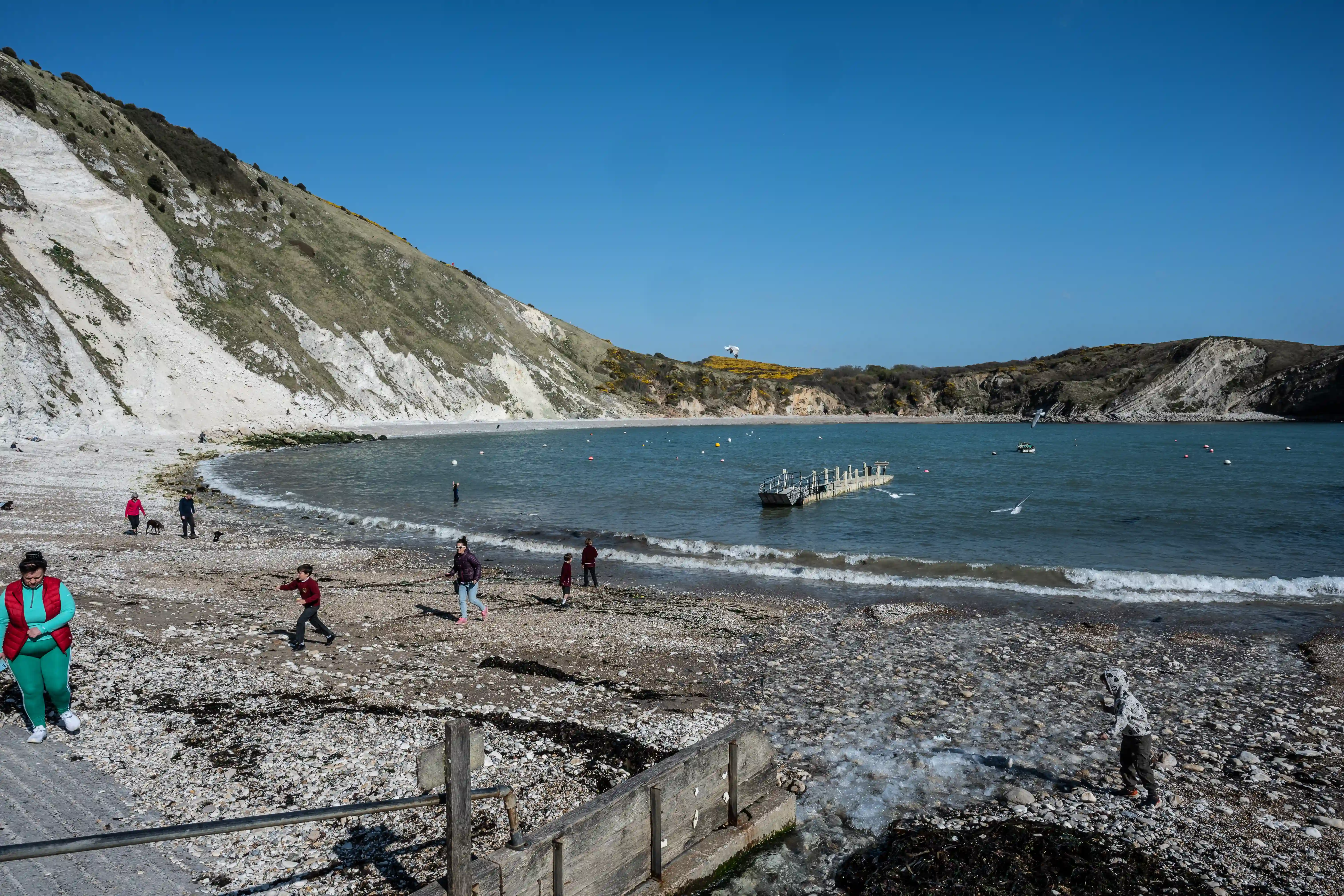 The image depicts a coastal scene with white cliffs and a pebbly beach. Several people, including children, are scattered across the beach, engaging in various activities. The sea is calm with gentle waves, and a wooden pier extends into the water. The sky is clear and blue, indicating a sunny day. The overall atmosphere is relaxed and leisurely.
