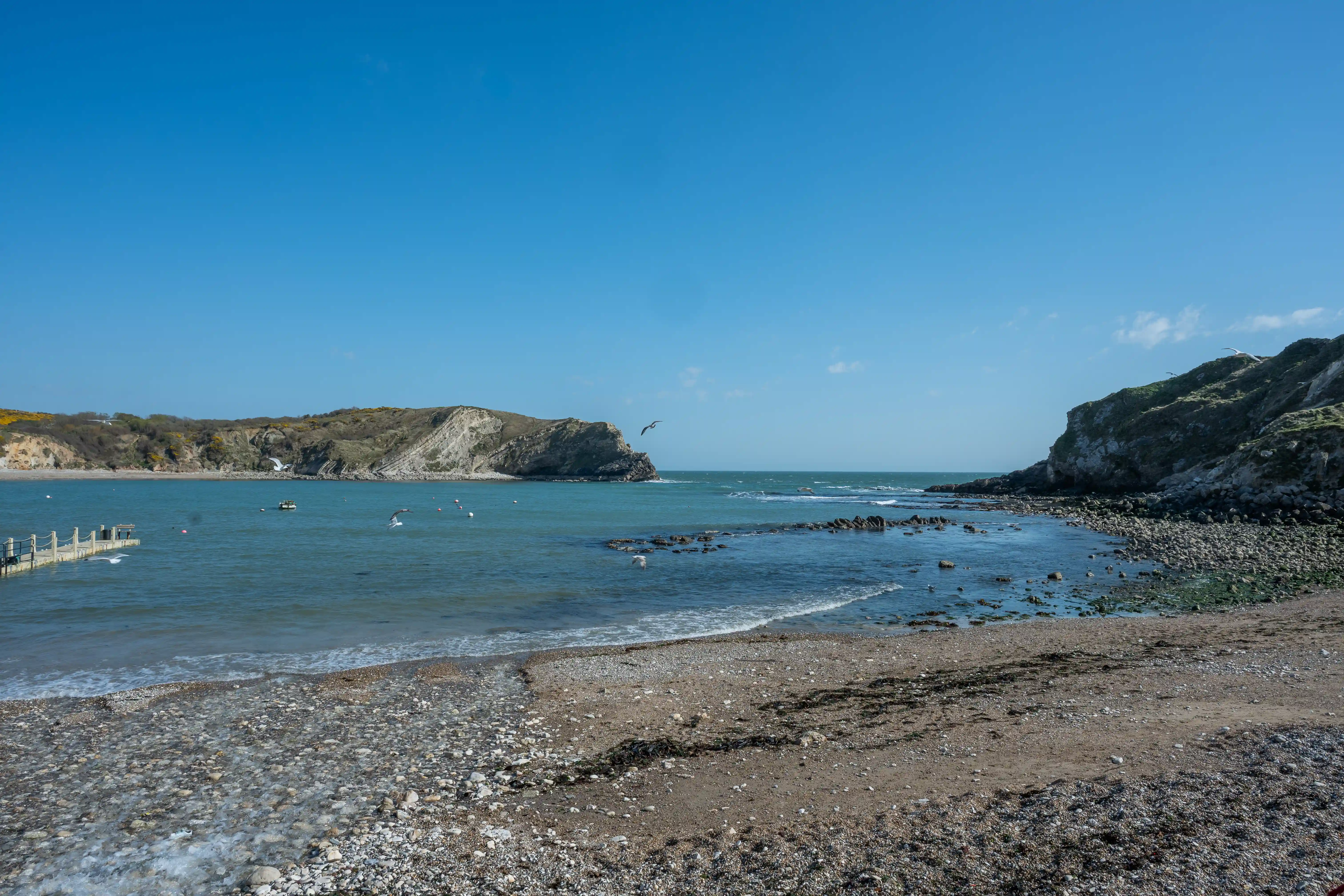 The image depicts a serene coastal scene with a pebble beach, clear blue water, and rocky cliffs on either side. The sky is clear with a few scattered clouds. There are a few people in the water and on the shore, and a seagull flying above the water. The overall atmosphere is calm and inviting, suggesting a pleasant day at the beach.