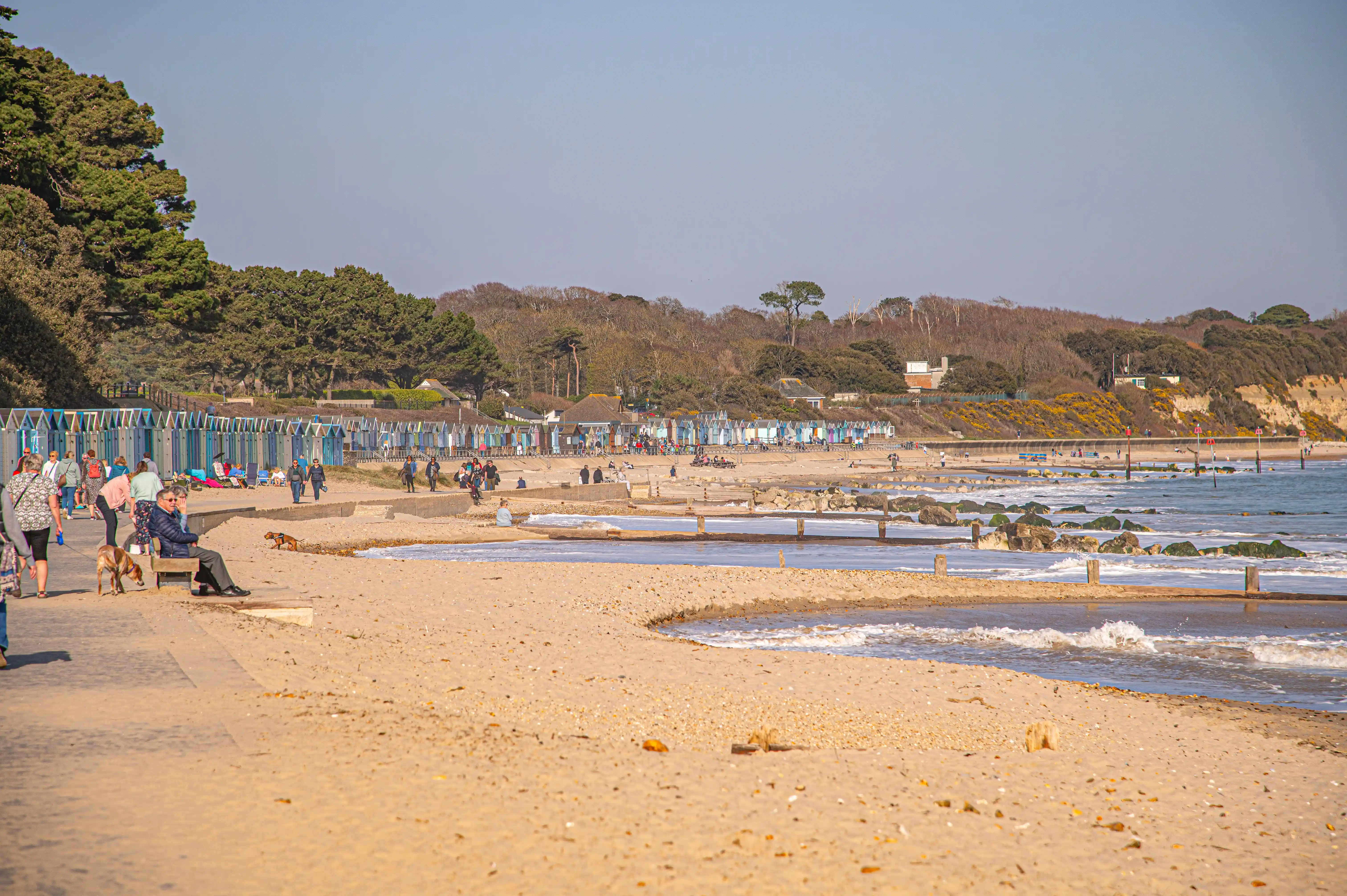 This picture captures a lively beach scene with plenty of people enjoying the day. You can see a long row of colorful beach huts lined up behind the sandy shore, offering a classic seaside charm. People are strolling along the promenade, sitting on benches, and relaxing on the sand, with a few even bringing their furry friends along for the fun. The gentle waves are lapping at the shore, and the overall atmosphere looks quite pleasant and inviting.
