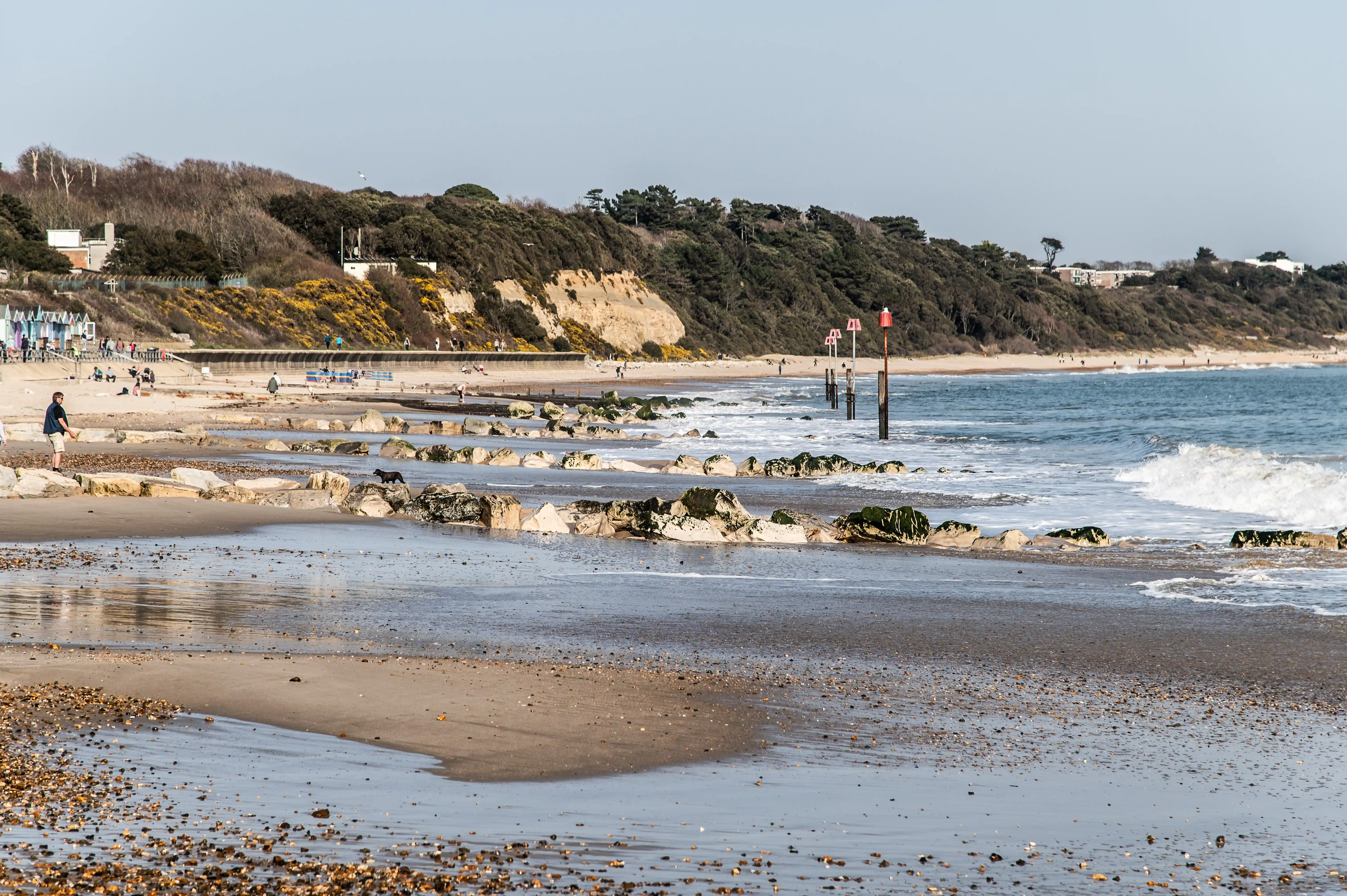 Here's a view of a beach that's a mix of soft sand and smooth pebbles. The water is relatively calm, with small waves rolling in and leaving a wet sheen on the shore. You can see more of those rock groynes scattered along the coastline, breaking up the waves. In the distance, there's a gentle, tree-covered slope rising from the beach, dotted with a few buildings. People are enjoying a leisurely walk along the water's edge, making for a peaceful seaside experience.