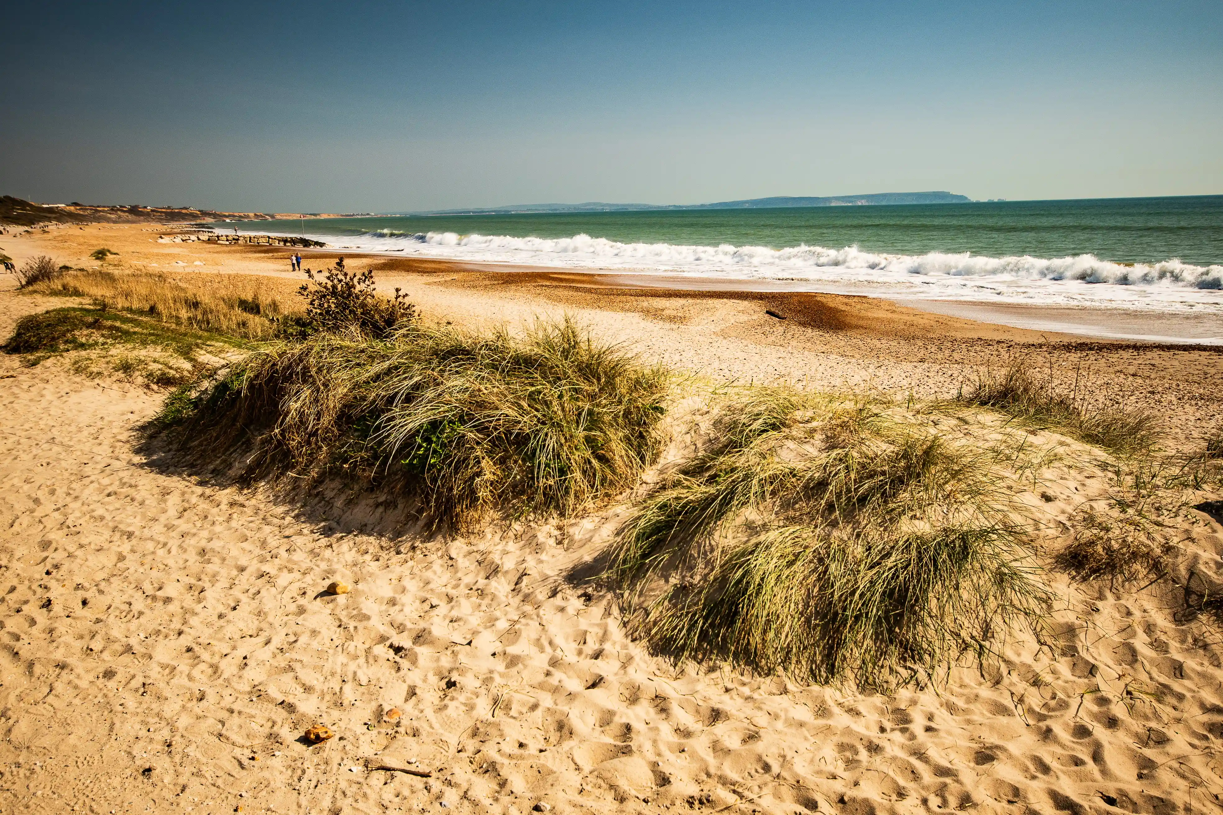 This image offers a more natural and wilder beach landscape. The foreground is dominated by sandy dunes covered in windswept marram grass, giving it a distinctly natural feel. Beyond the dunes, you see a wide expanse of sand leading to the sea, where waves are rolling in with a bit more energy. The ocean stretches out towards the horizon under a clear blue sky, offering a sense of open space and tranquility.
