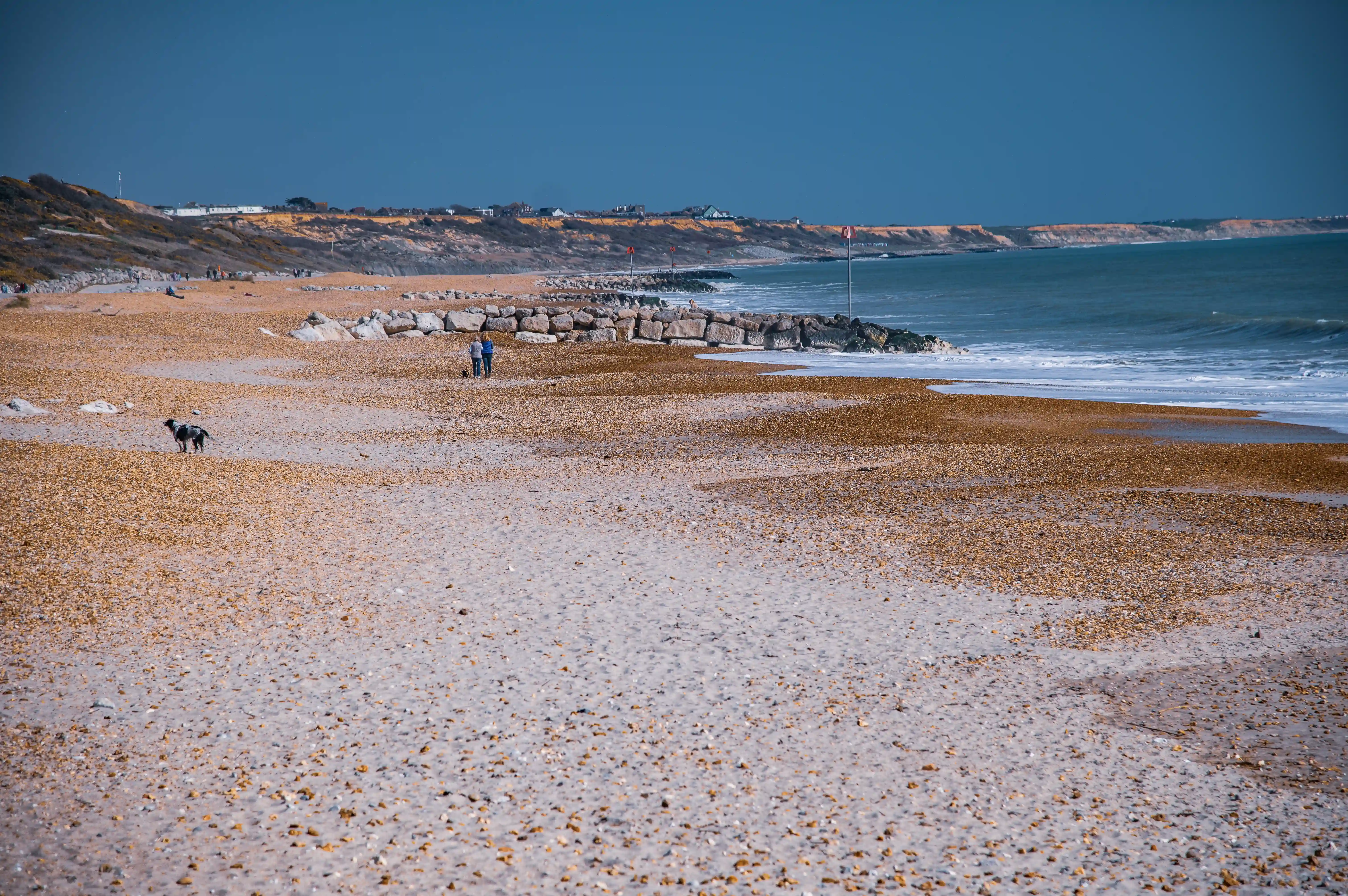 This shot highlights a different kind of beach texture – mostly pebbles with some patches of sand. The sea is a beautiful deep blue, and the waves are gently rolling in. In the middle ground, a couple is strolling along the shore, and in the foreground, a happy dog is exploring the pebbles. The coastline curves gently in the distance, with houses visible on the bluffs above, suggesting a coastal community. It looks like a great spot for a dog to run around and enjoy the fresh air.   