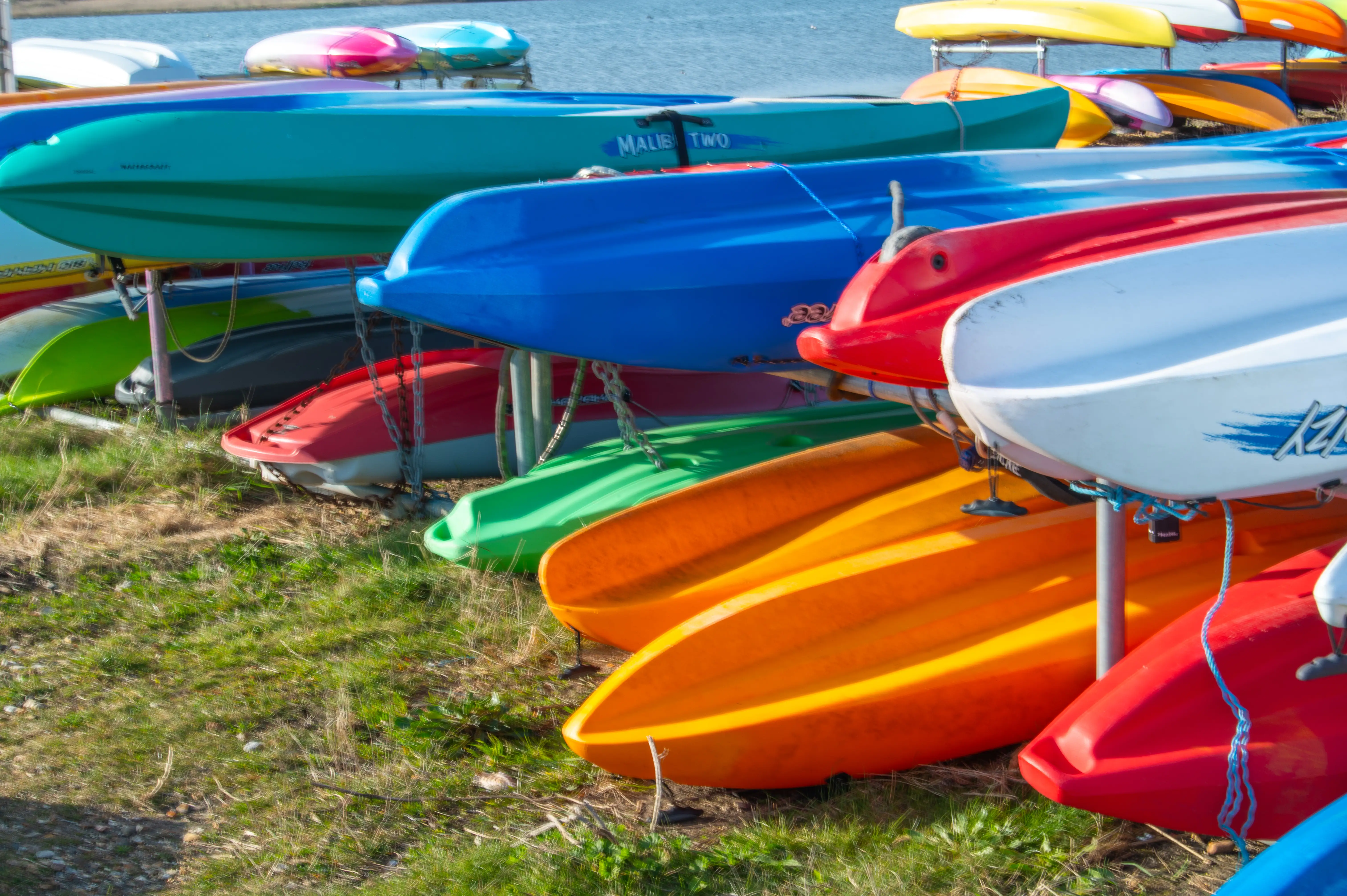 This image is very similar to the first, focusing on a vibrant lineup of kayaks. The colorful boats are stacked and lined up on grass, with the water visible in the background. The close-up view really highlights the variety of shapes and colors, from sleek green and blue kayaks to bright orange and red ones. It looks like a great spot for some water adventures!