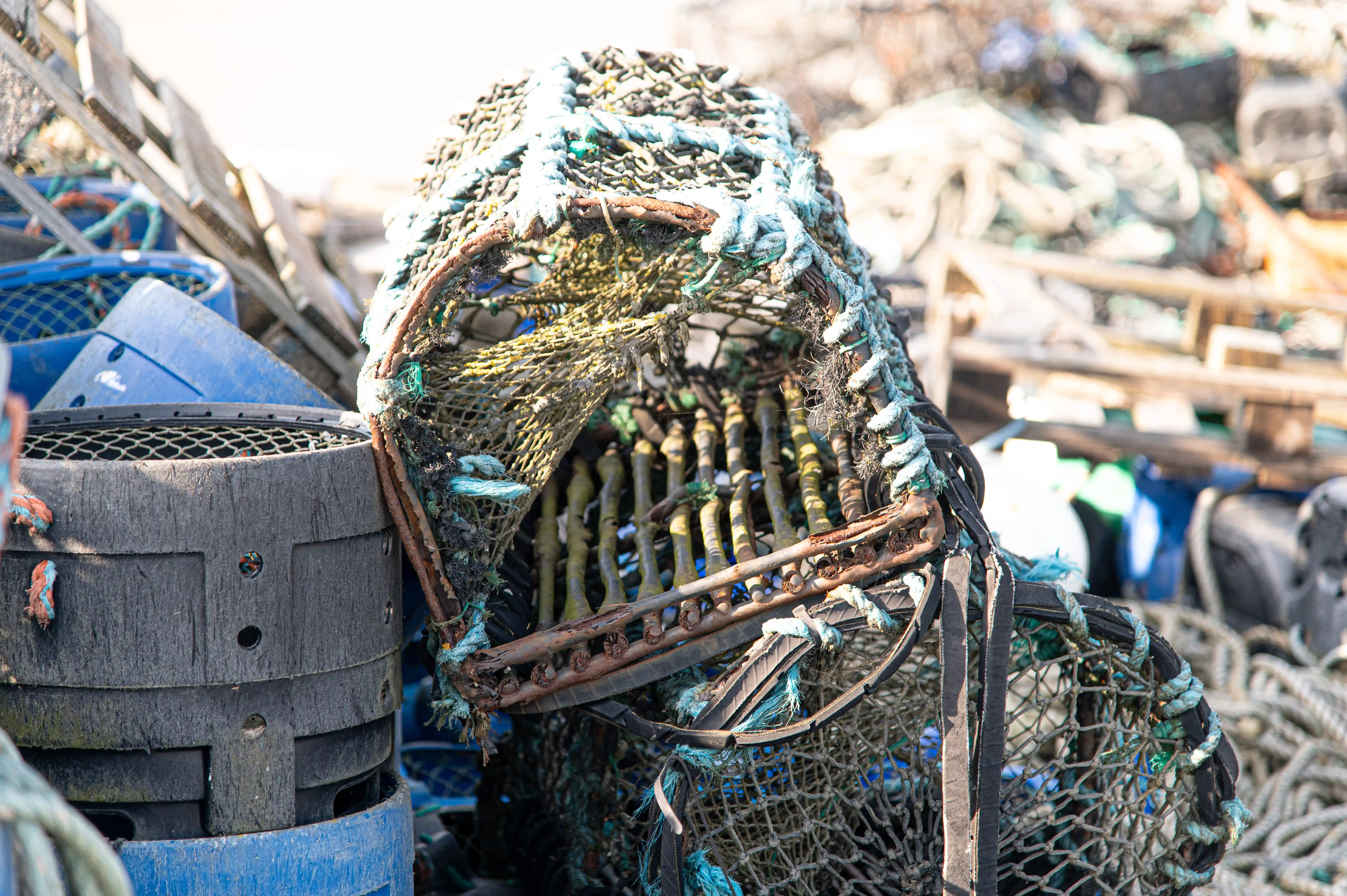 This is a detailed look at a lobster pot. It's a cage-like structure made of netting and some sort of framework, with an opening that would trap the lobsters inside. You can see the woven texture of the netting and some rusty metal parts, indicating it's been used. It's sitting amongst other fishing gear, so it's clearly part of a working collection.