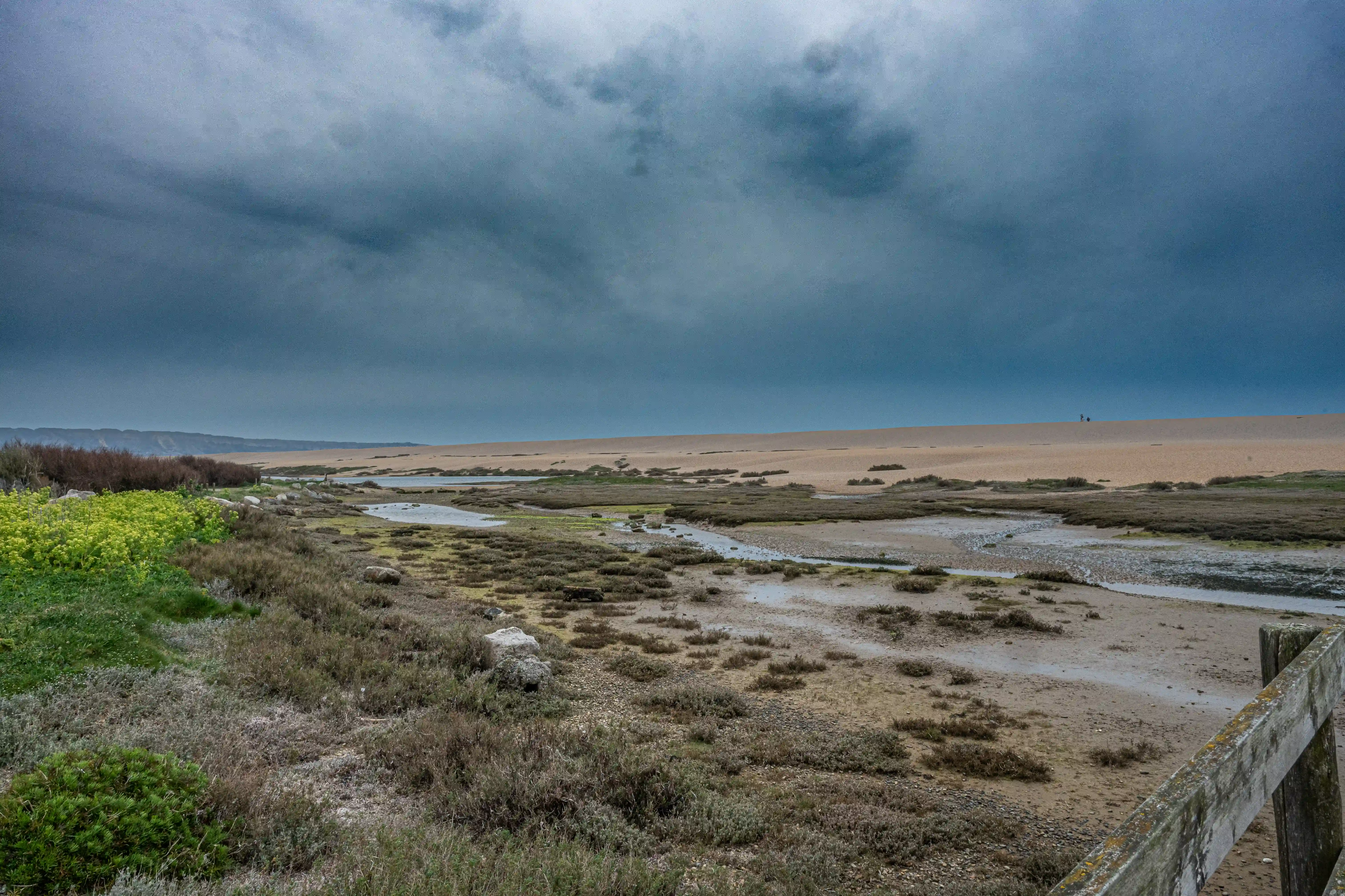 The image depicts a vast, open landscape under a cloudy sky. The foreground features a mix of grassy and rocky terrain with patches of vegetation. A small stream meanders through the middle of the scene, leading to a large, flat, sandy area that stretches towards the horizon. The overall atmosphere is somewhat gloomy due to the overcast sky.