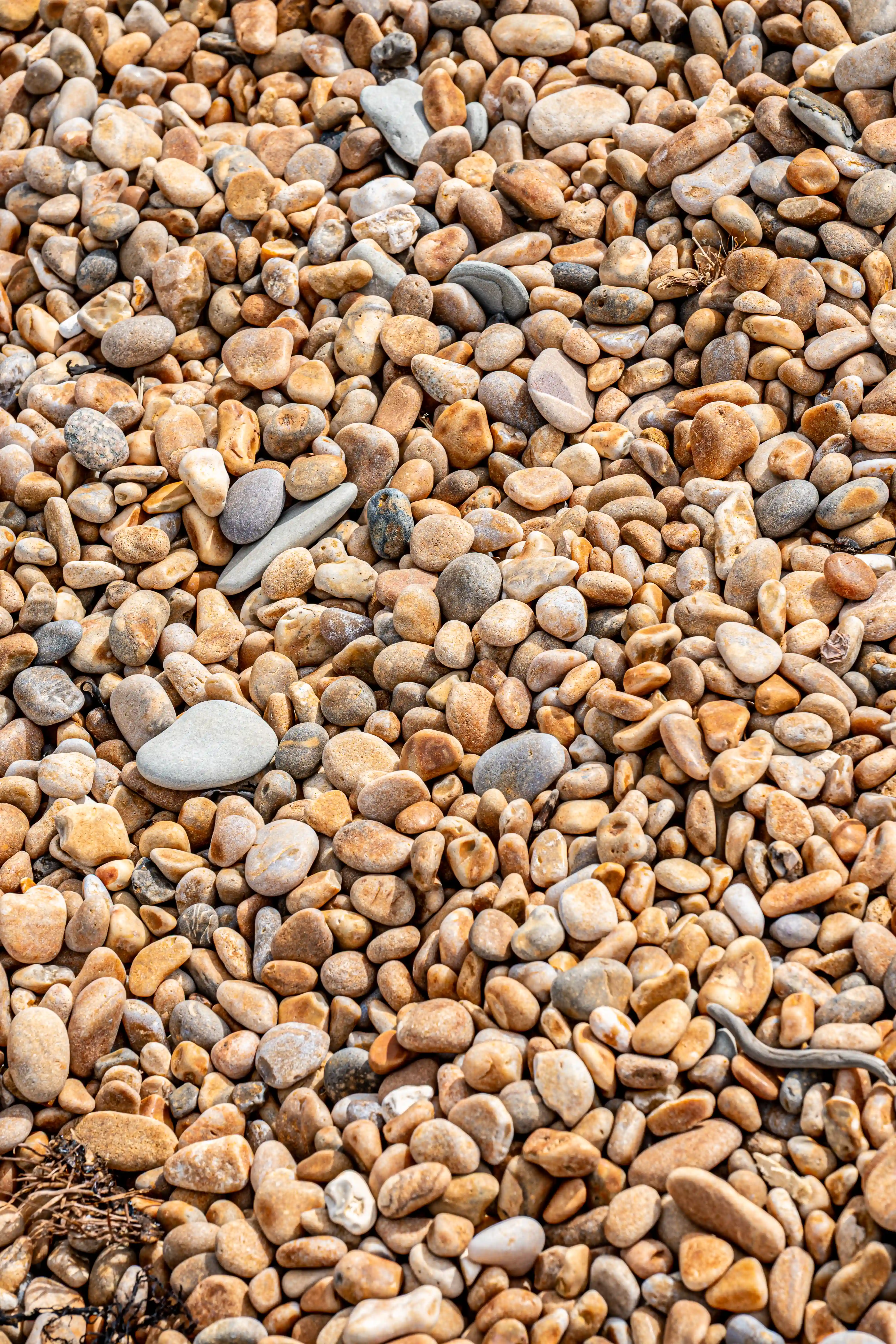 The image displays a close-up view of a collection of smooth, round pebbles in various shades of beige, brown, and gray. The pebbles are tightly packed together, creating a textured surface. Some of the pebbles have small patches of moss or lichen, adding a touch of green to the otherwise neutral color palette. The image captures the natural beauty and diversity of the pebbles, showcasing their unique shapes and sizes.
