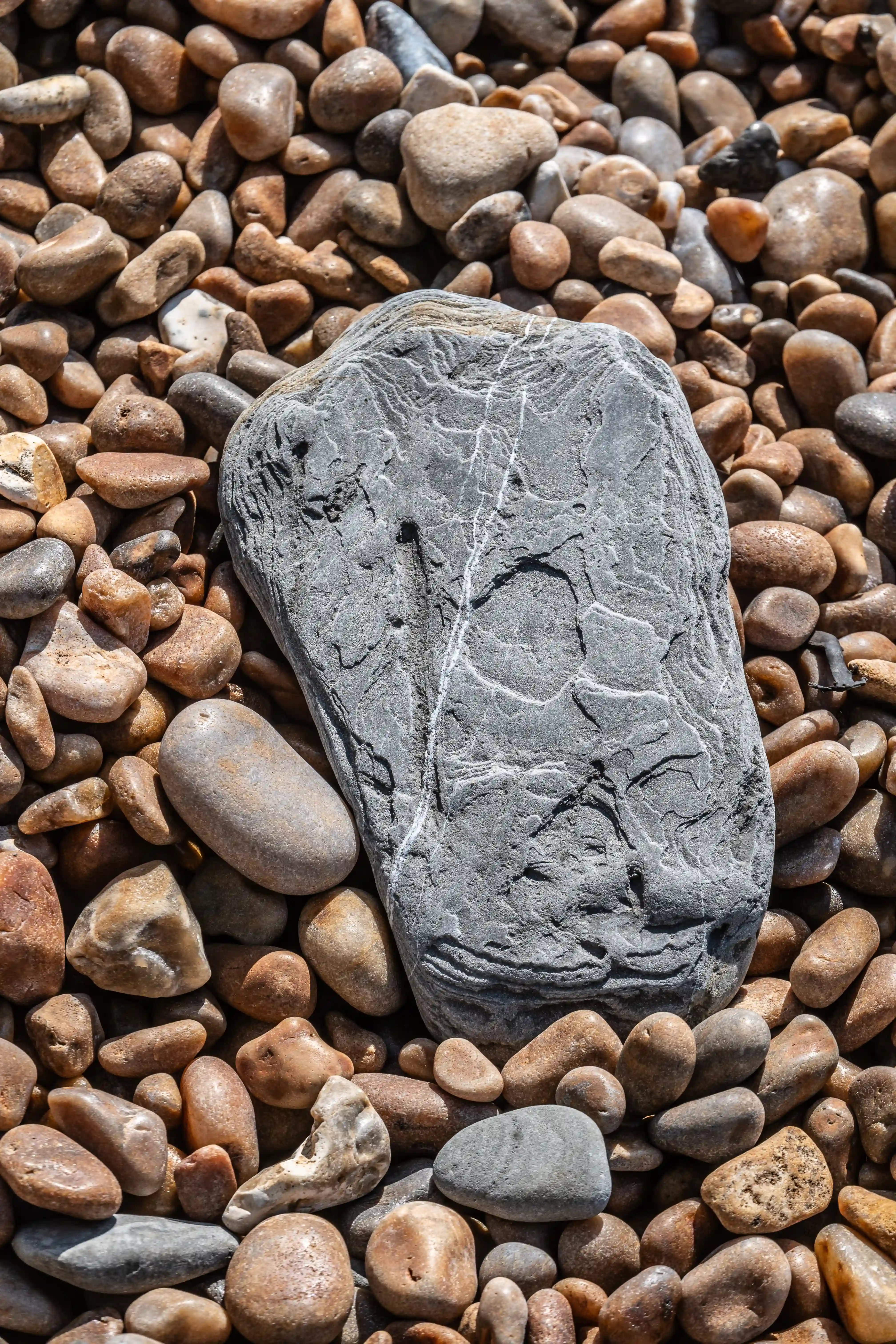 The image shows a collection of smooth, round pebbles with a larger, uniquely shaped stone in the center. The central stone has a distinct, almost rectangular shape with intricate, natural patterns etched into its surface. The surrounding pebbles are various shades of brown and gray, creating a contrasting backdrop for the central stone.