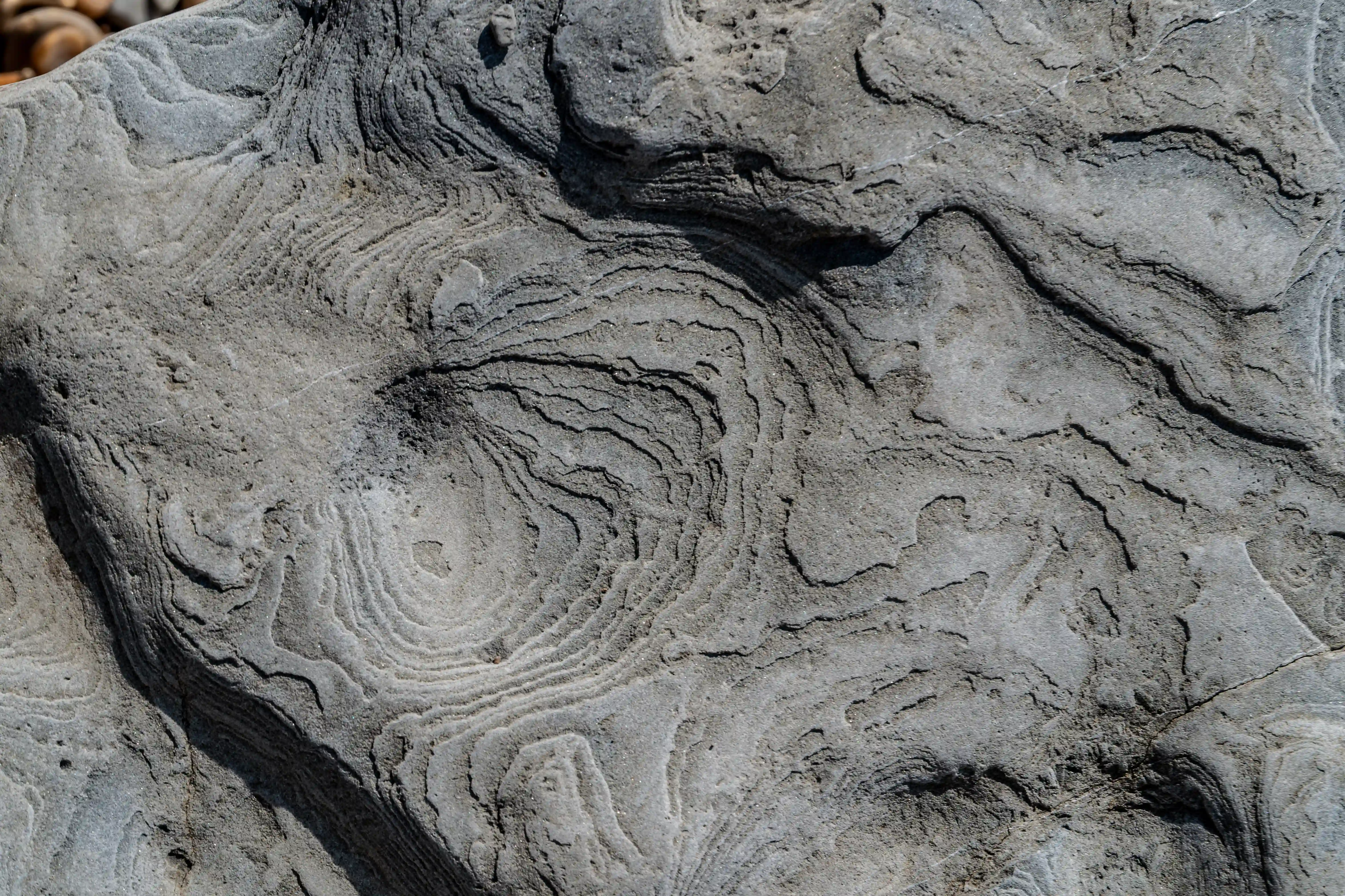 The image shows an ancient rock carving or petroglyph. The carving features intricate, concentric patterns that appear to be swirls or spirals, which are typical of many prehistoric rock art sites. The rock surface is weathered, indicating significant age. Such carvings are often created by ancient cultures for various purposes, including ritual, communication, or artistic expression. The specific meaning and context of this carving would depend on the cultural and historical background of the site where it was found.